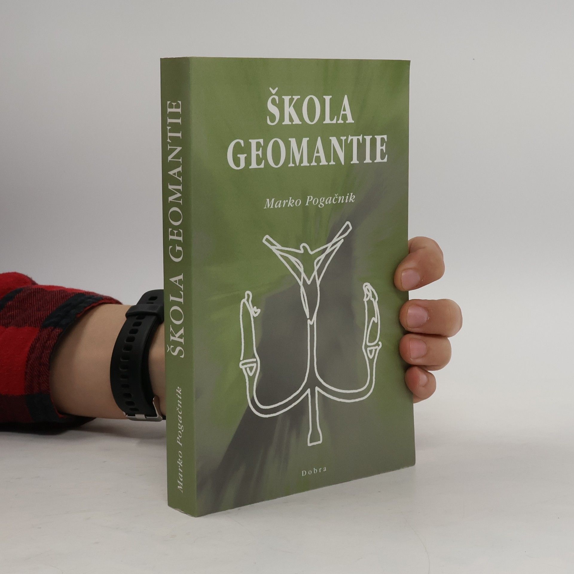 Škola geomantie