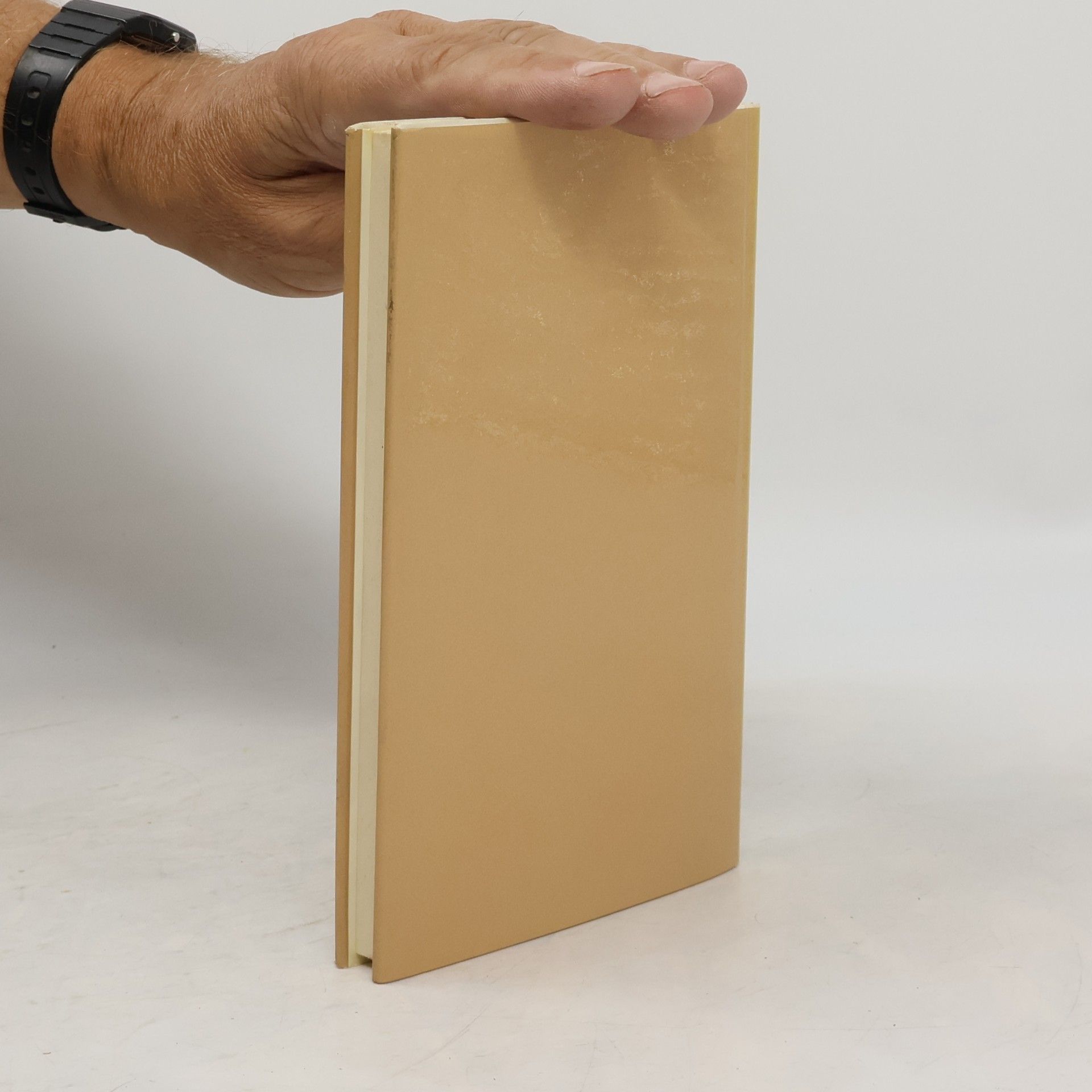 Peter Rosei Der Fluß der Gedanken durch den Kopf: Logbücher