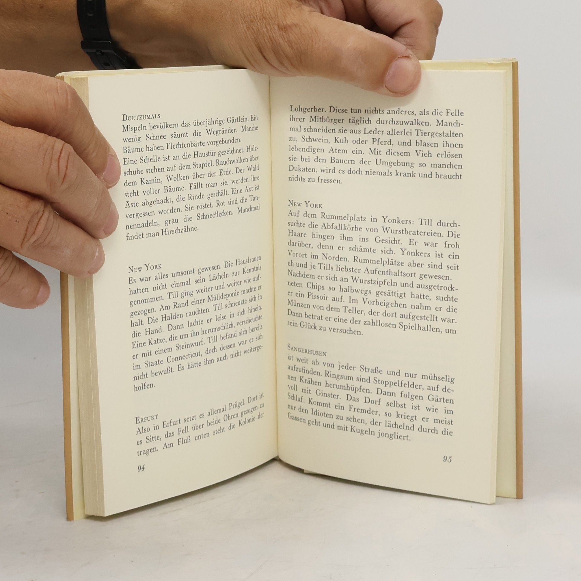 Peter Rosei Der Fluß der Gedanken durch den Kopf: Logbücher