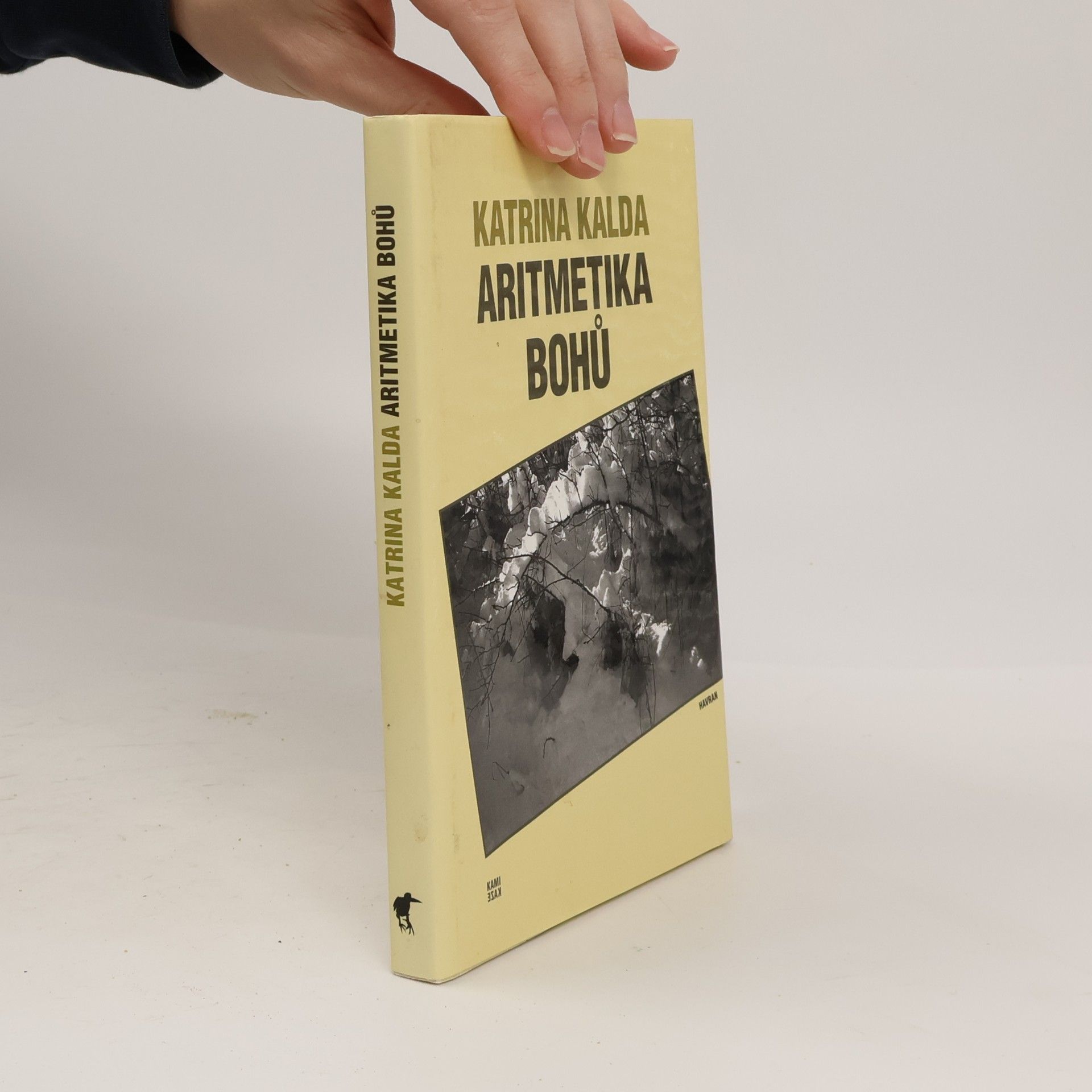 Katrina Kalda Aritmetika bohů