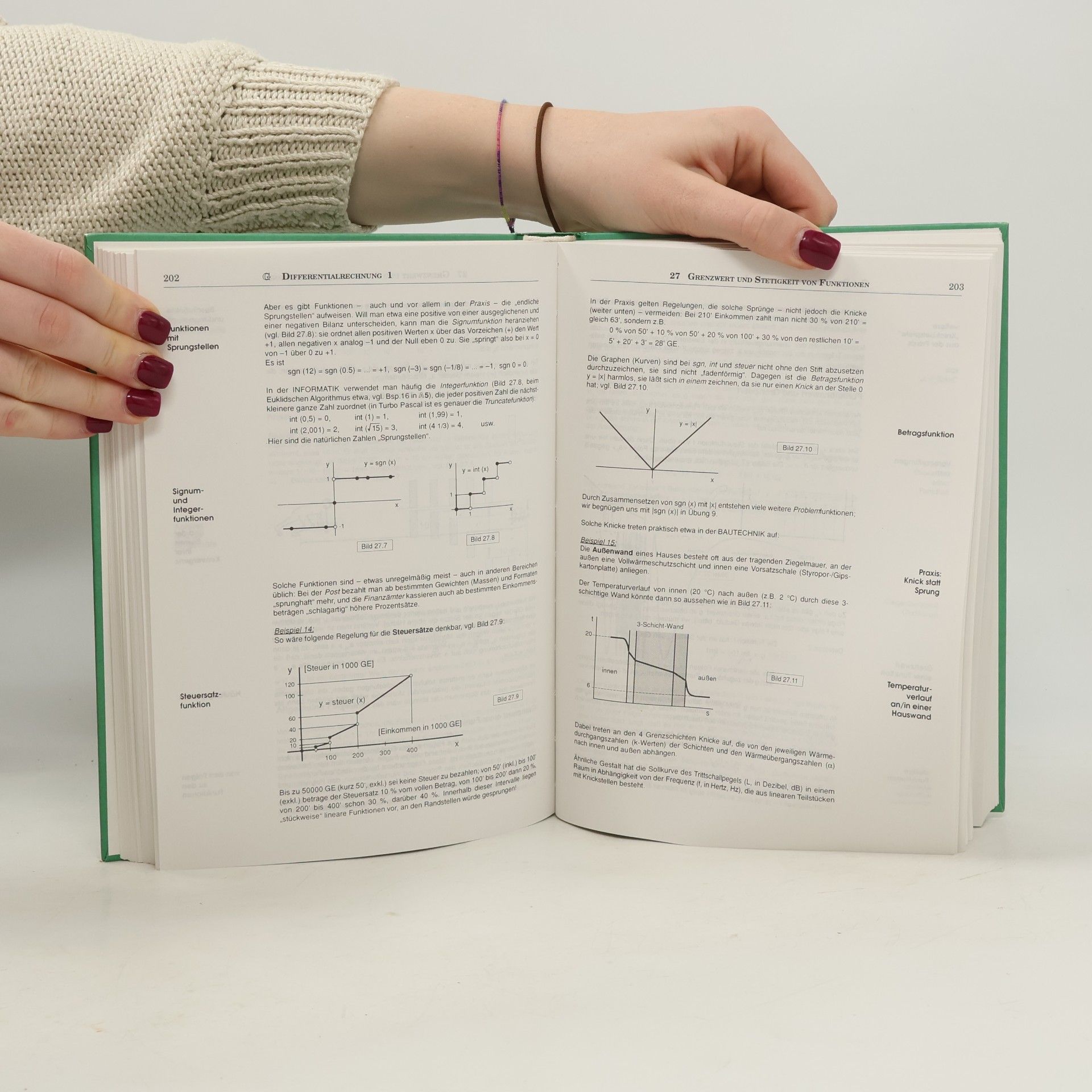 Horst Malle Mathematik für Techniker