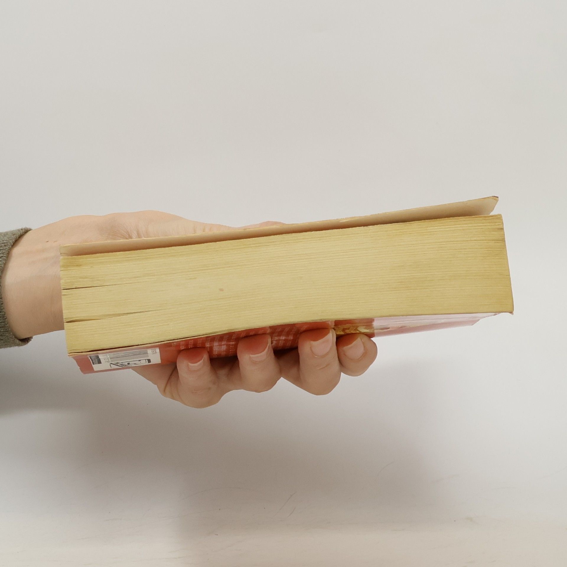 Terry Pratchett Koule. Věda na Zeměploše