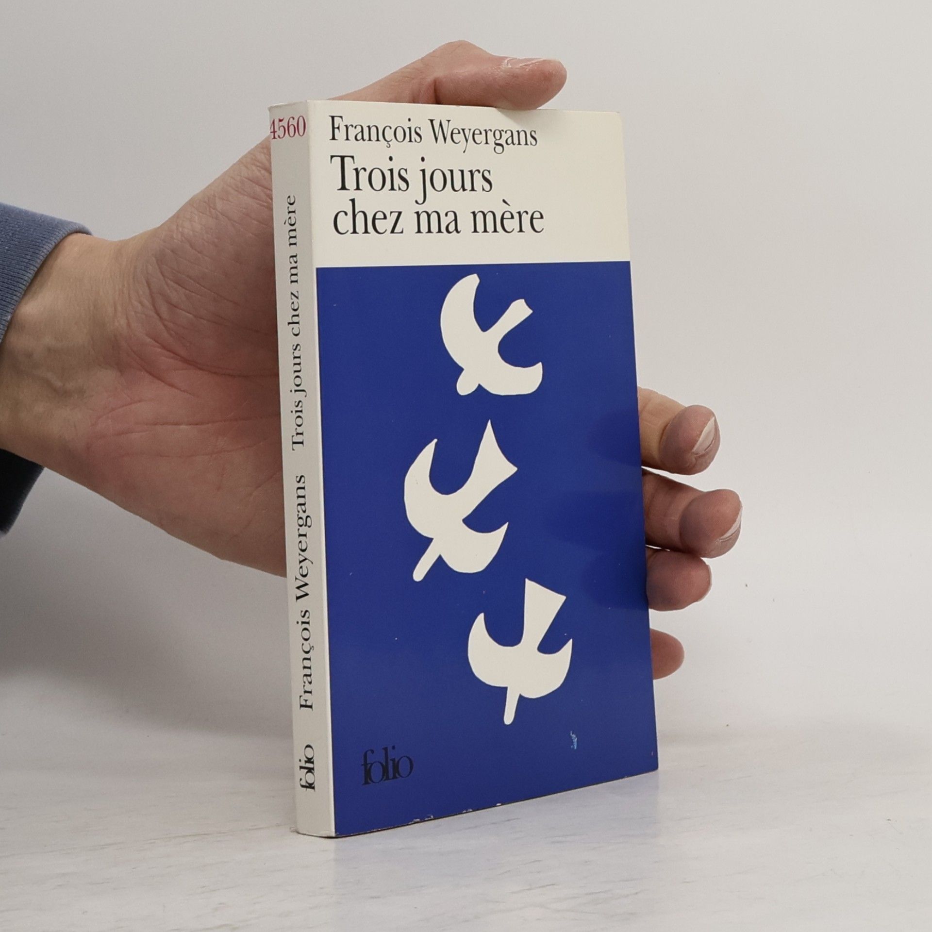 Trois jours chez ma mère