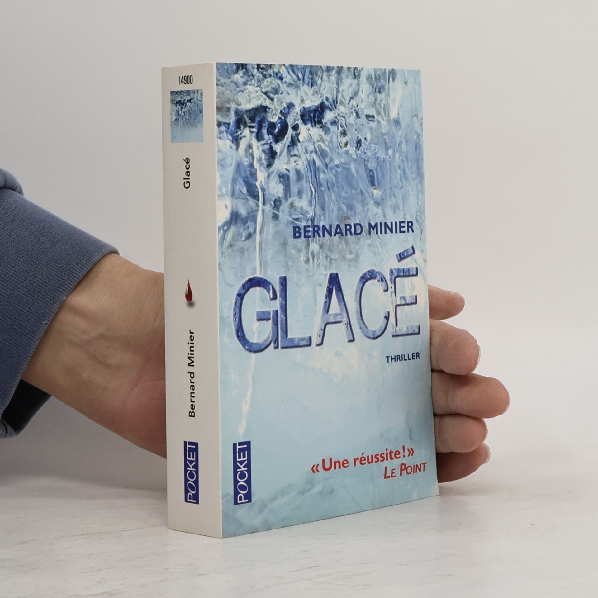 Bernard Minier Glacé