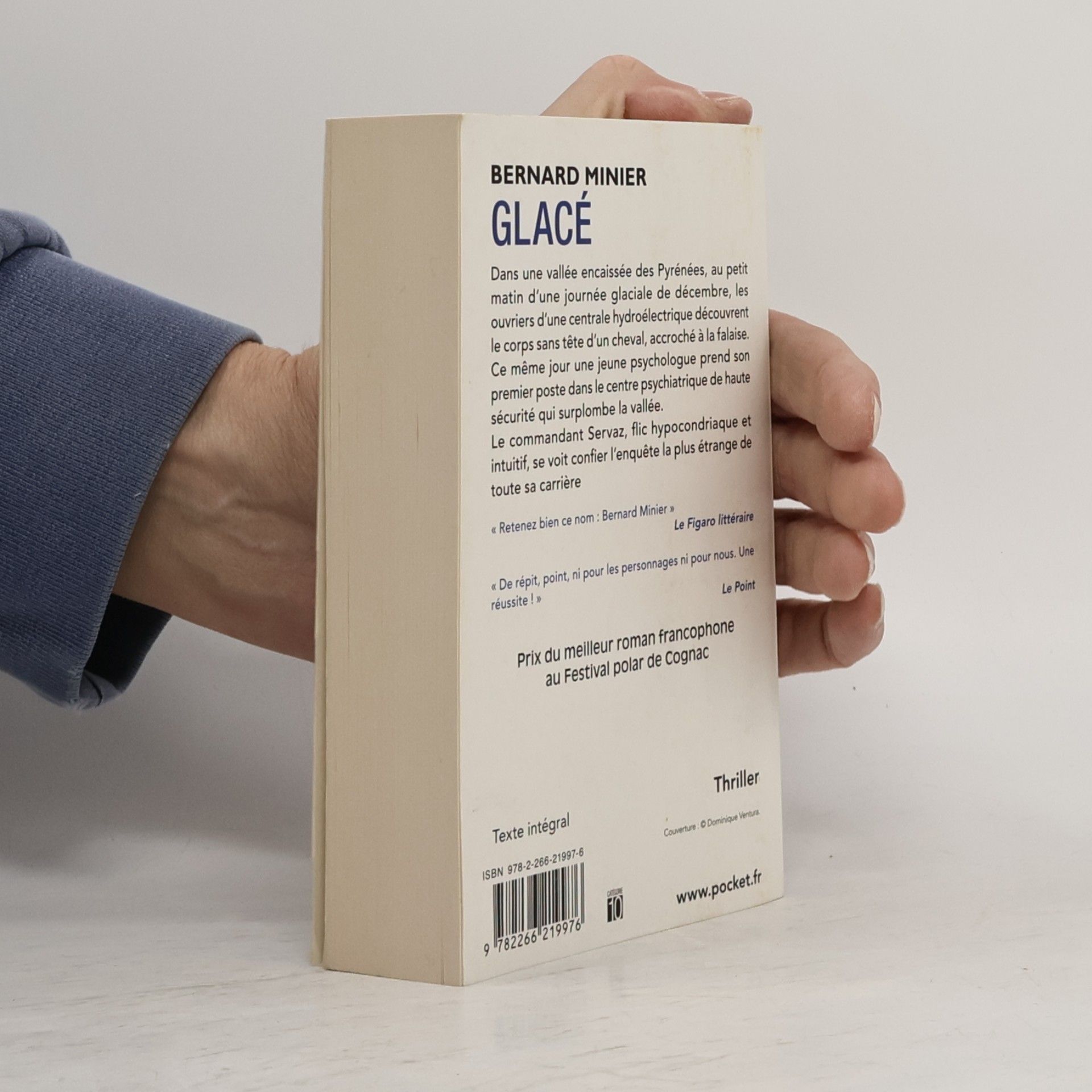 Bernard Minier Glacé