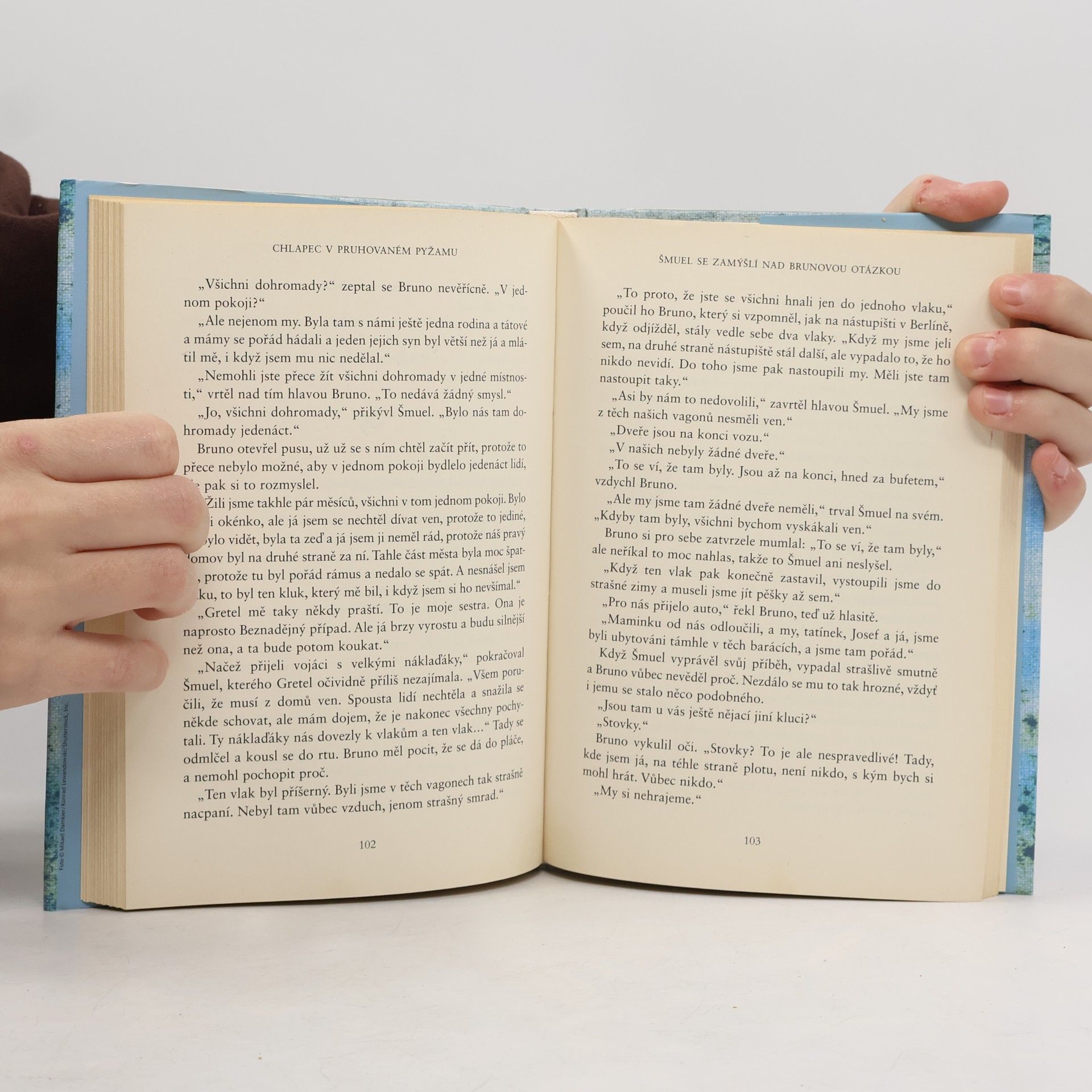 John Boyne Chlapec v pruhovaném pyžamu