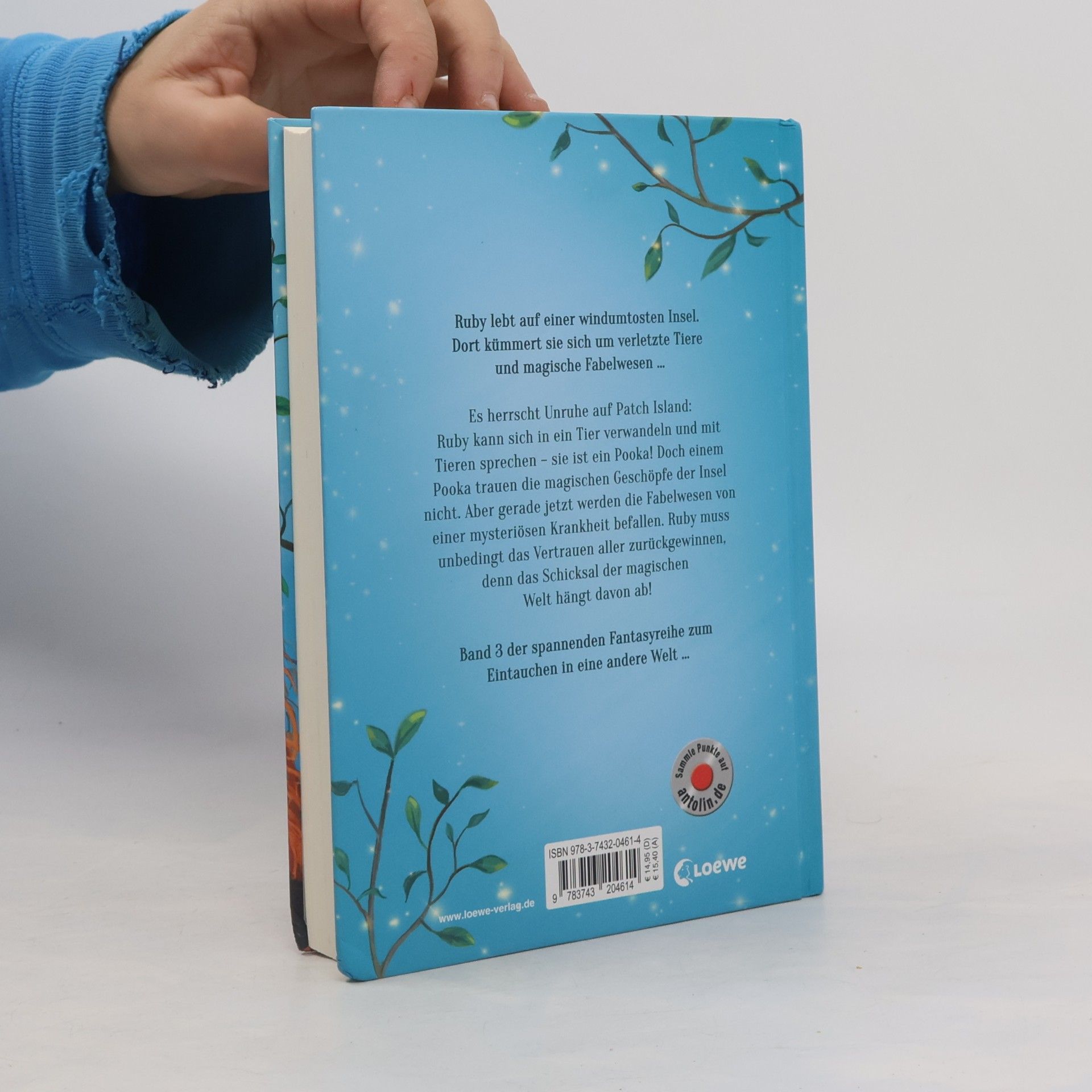Kira Gembri Ruby Fairygale - Das Geheimnis der Tierwandler