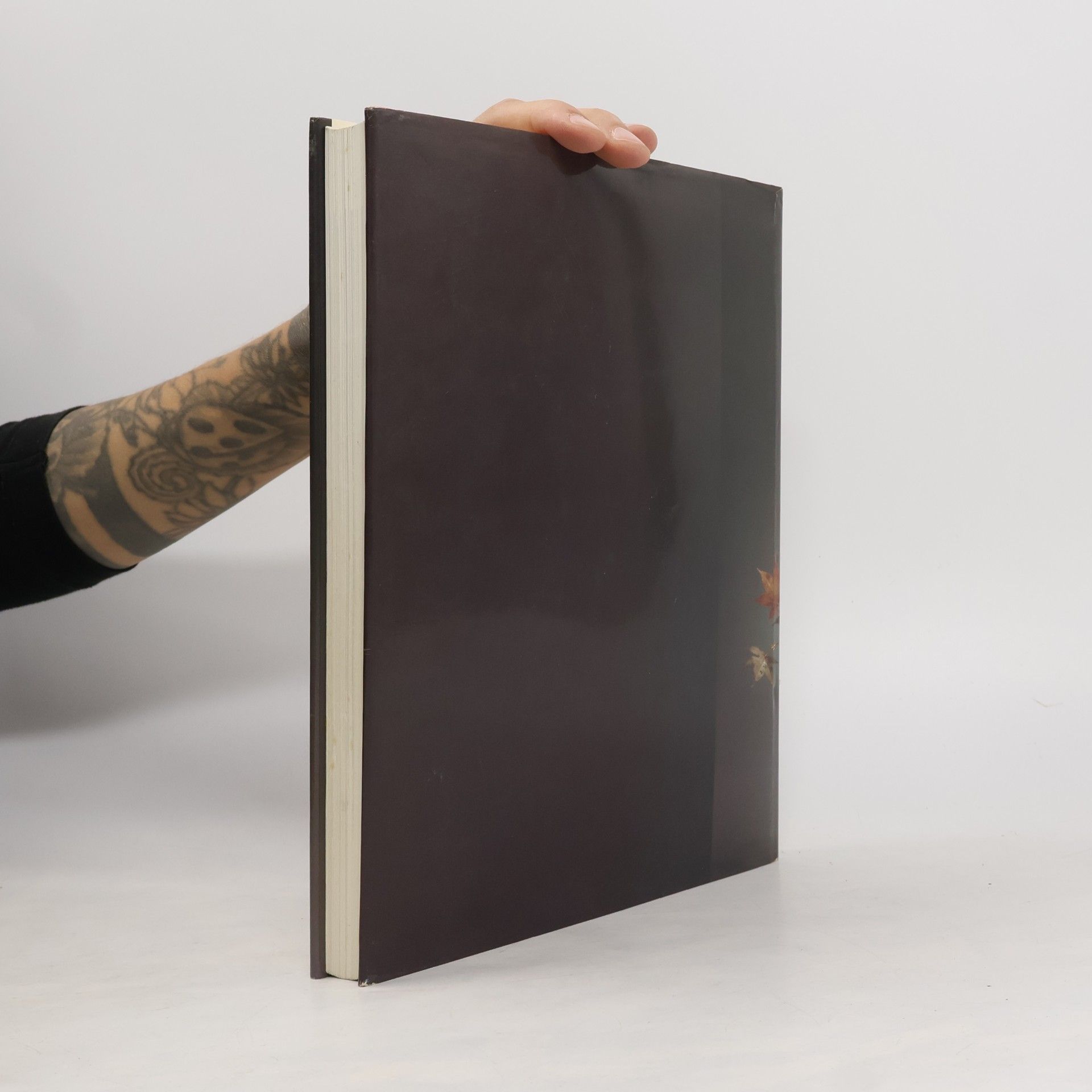 Ayako Graefe Das Ikebana-Buch