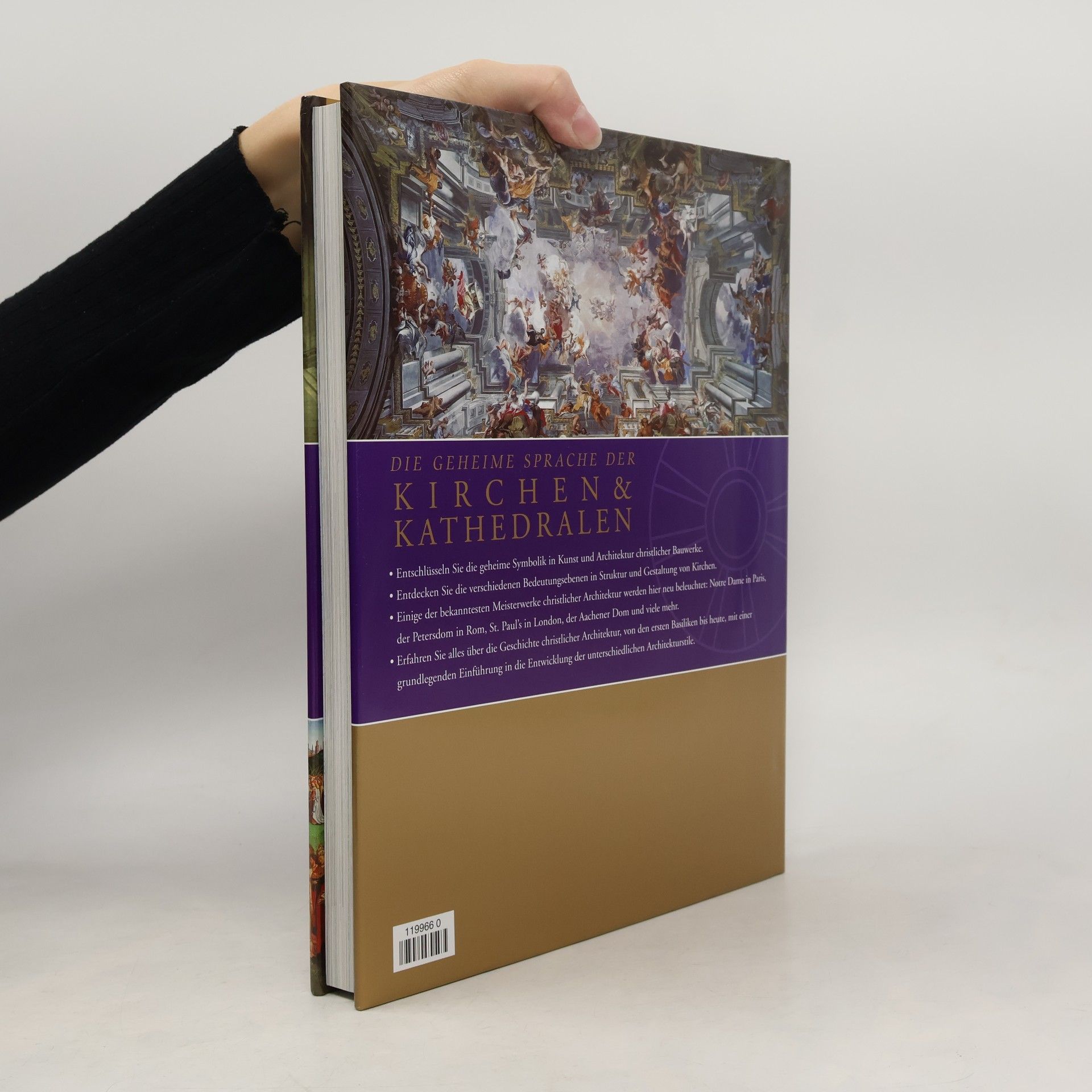 Richard Stemp Die geheime Sprache der Kirchen & Kathedralen
