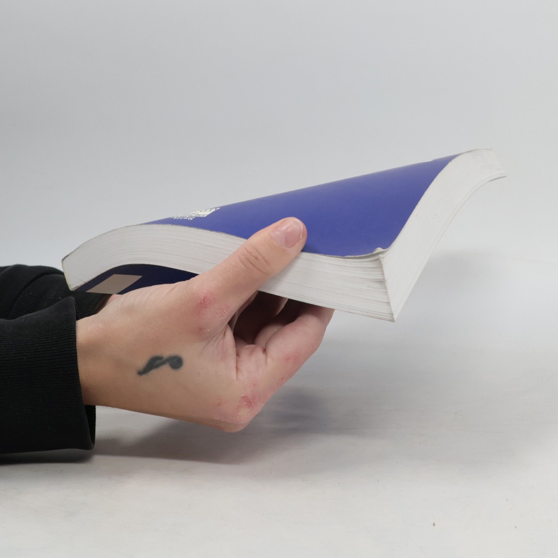 Christine Stickel-Wolf Wissenschaftliches Arbeiten und Lerntechniken - 2. Auflage