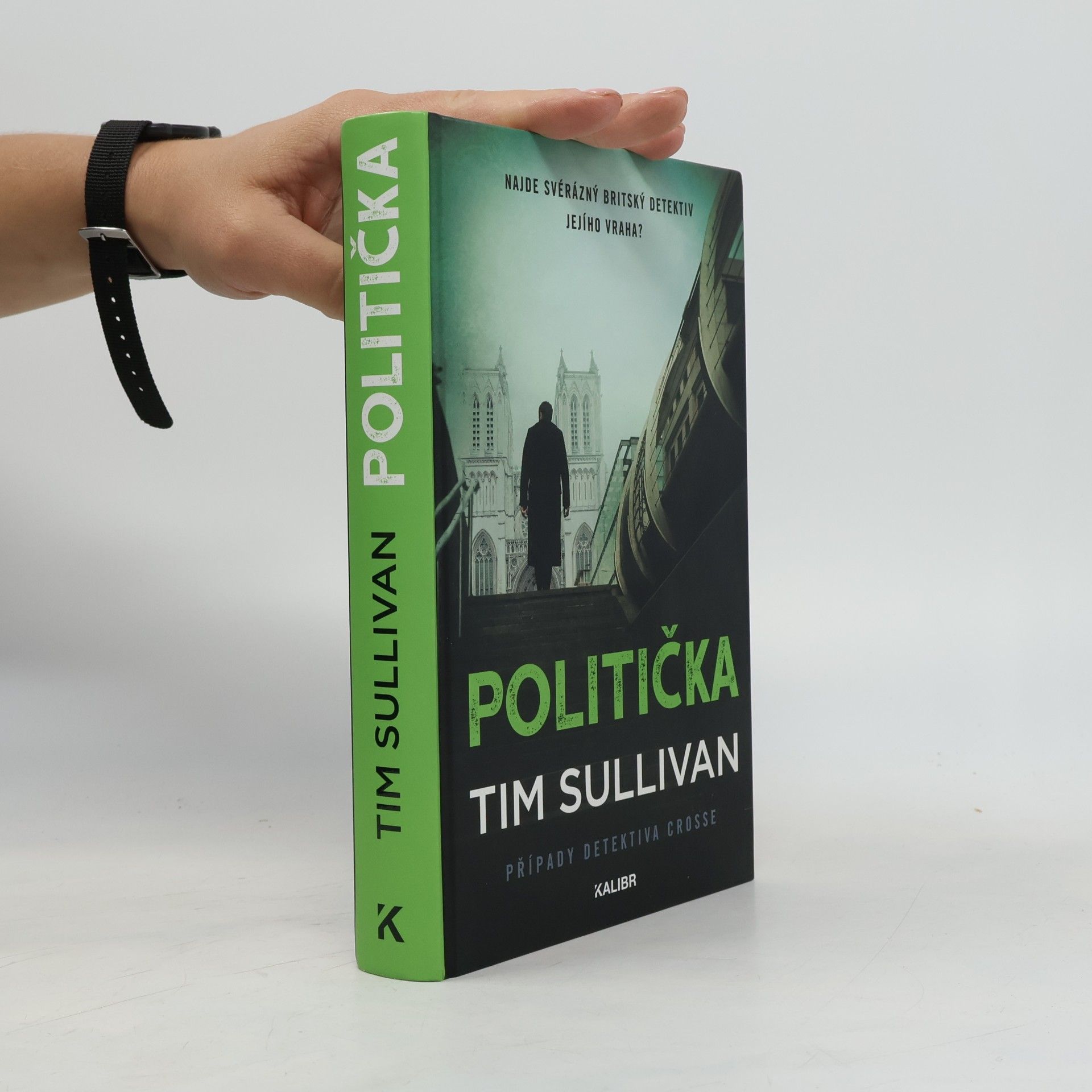 Politička