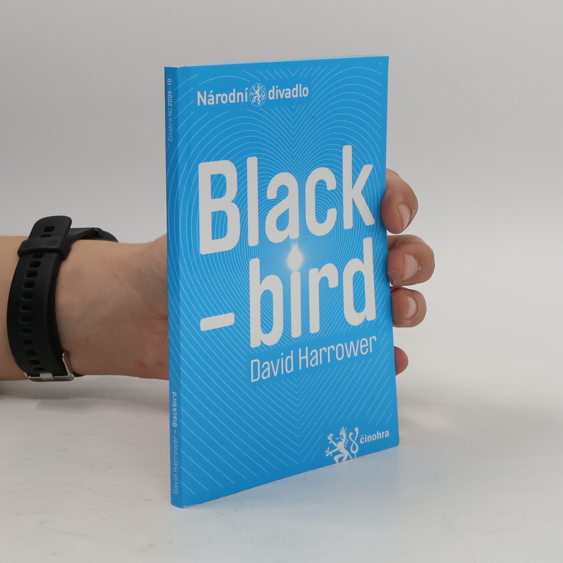 Black bird
