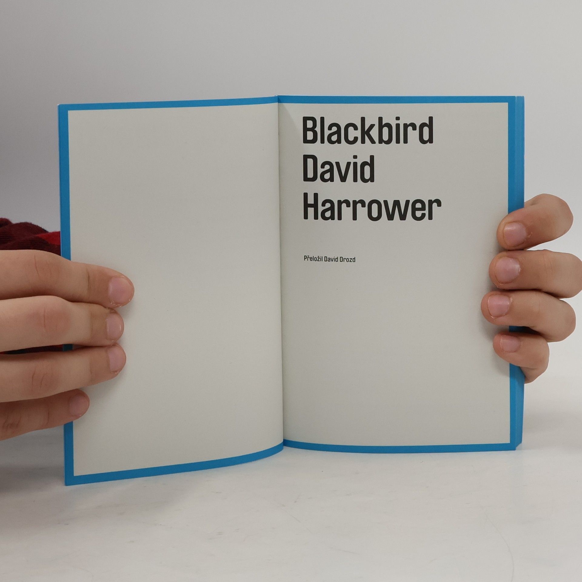 David Harrower Black bird