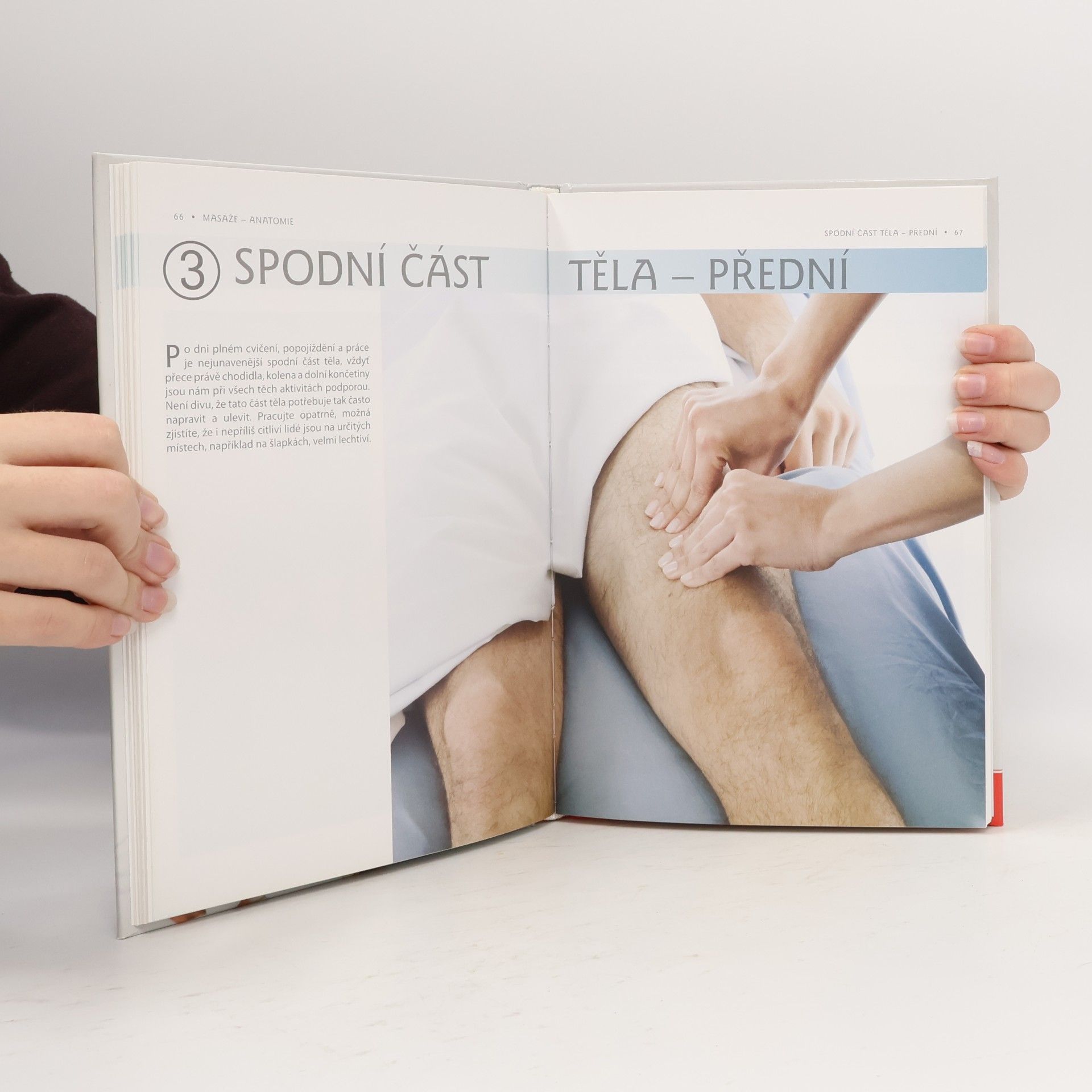 Abby Ellsworth Masáže - Anatomie. Průvodce sedmi masážními styly a jejich vlivem na konkrétní svalové skupiny