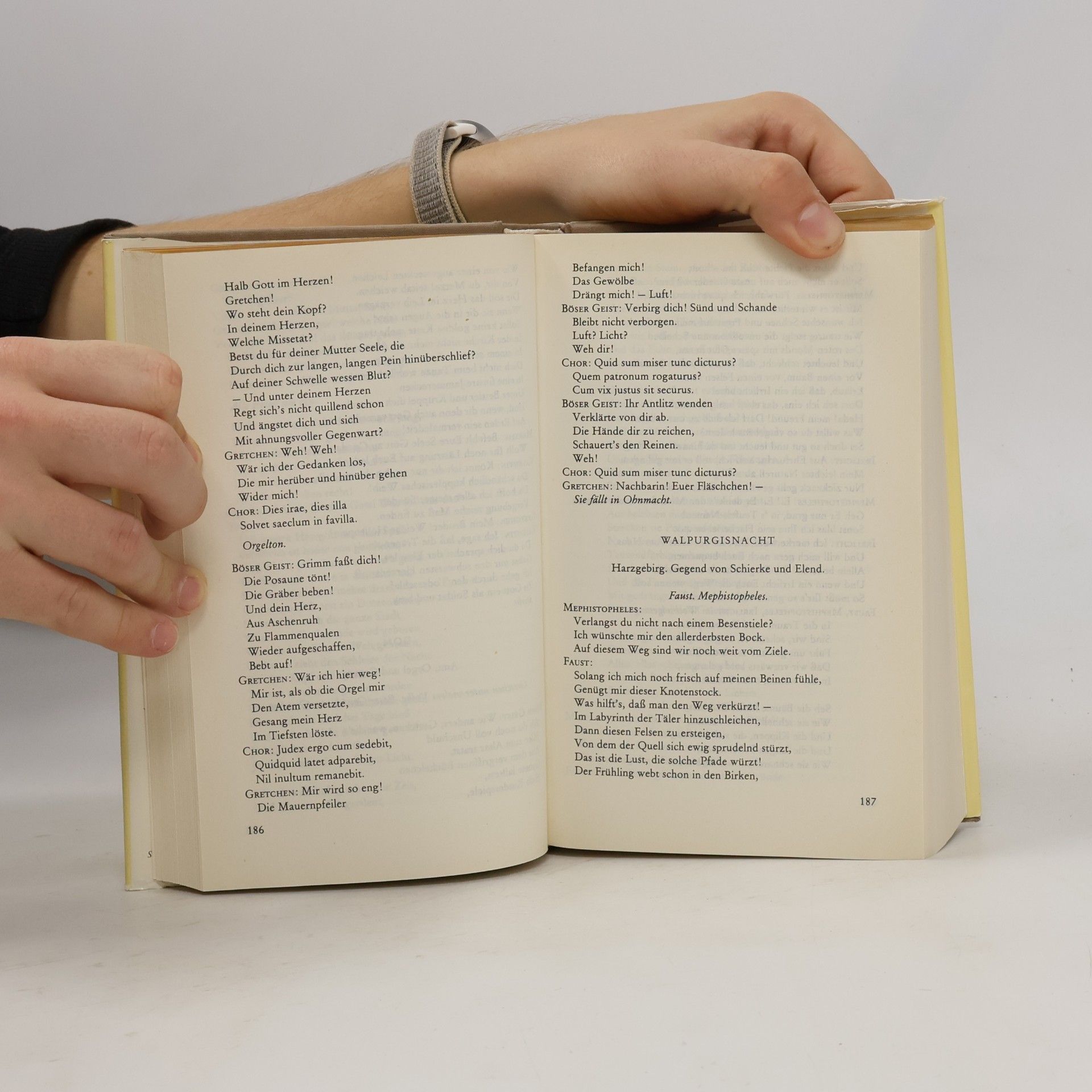 Johann Wolfgang von Goethe Faust I/II Urfaust