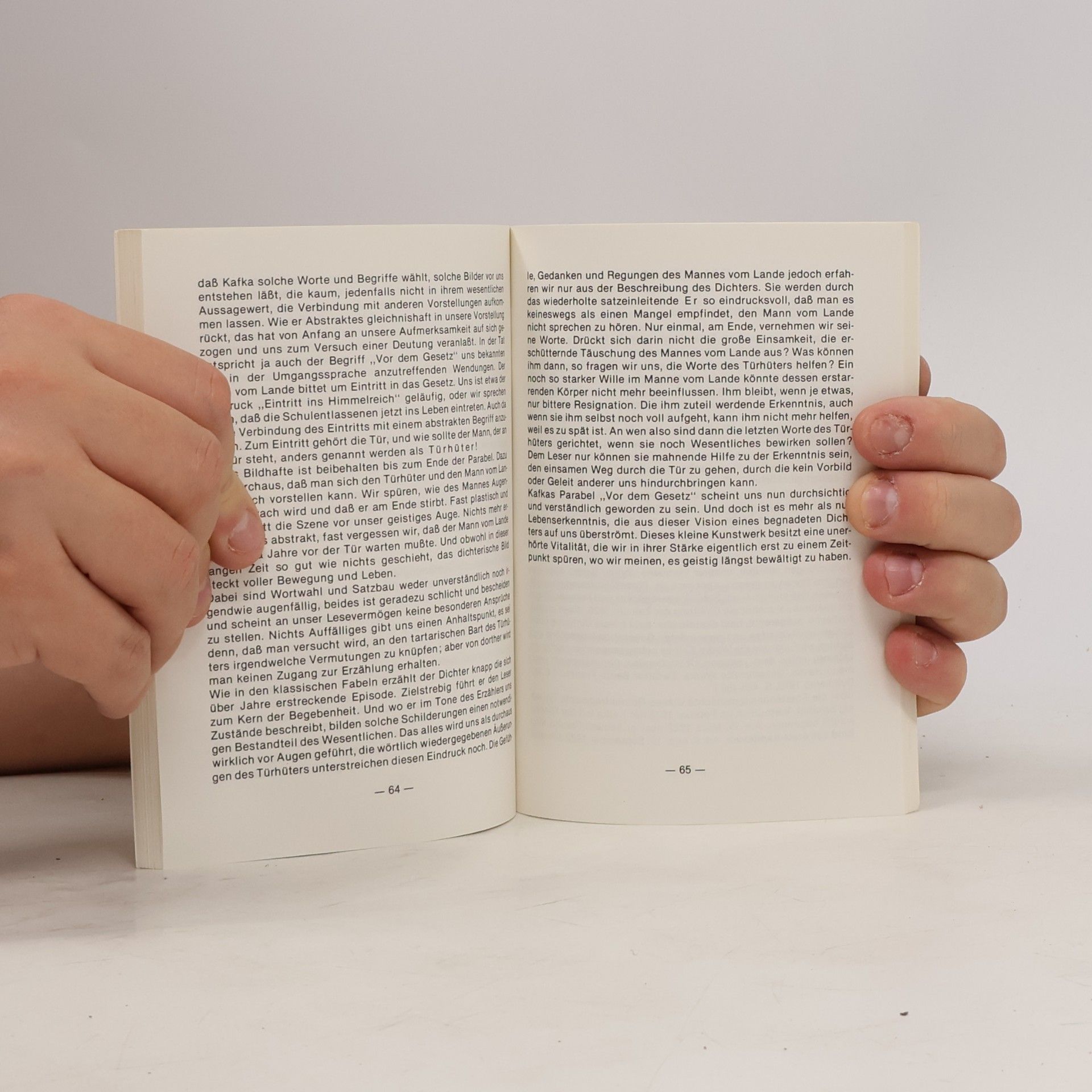 Martin Pfeifer Erläuterungen zu Franz Kafka Amerika, Der Prozess, Das Schloss