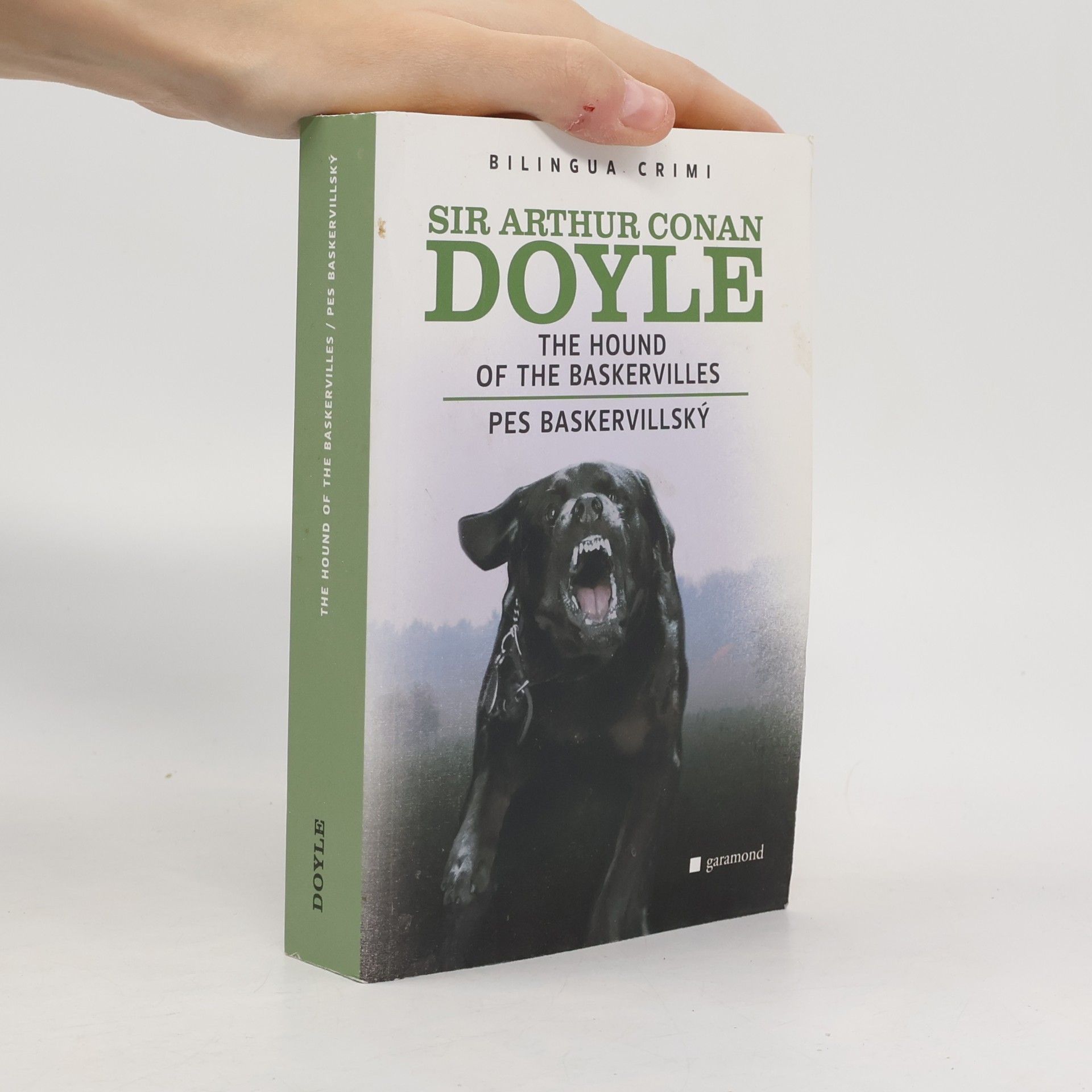 Arthur Conan Doyle The Hound of The Baskervilles. Pes baskervillský
