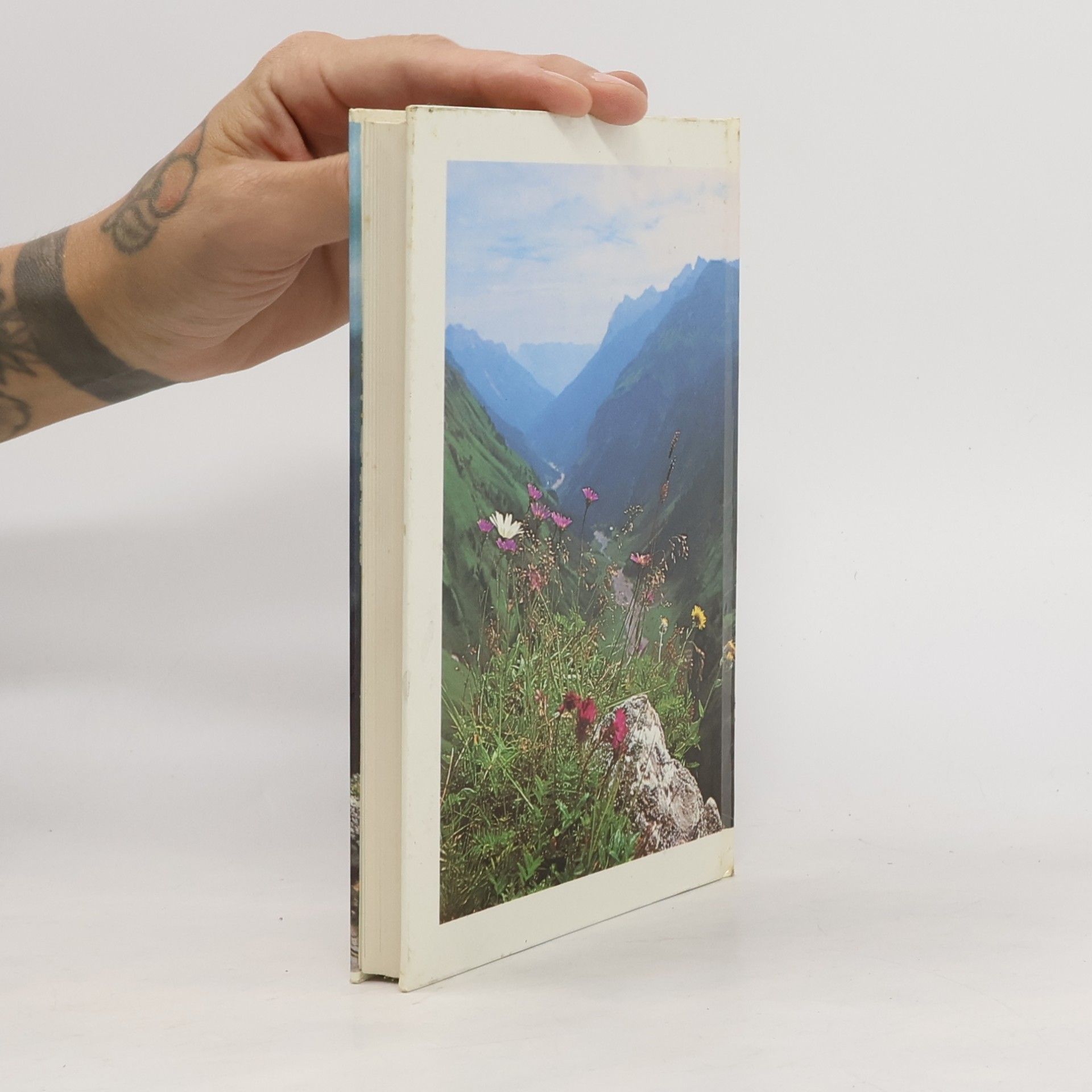 Alfred Pohler Blumen in den Alpen
