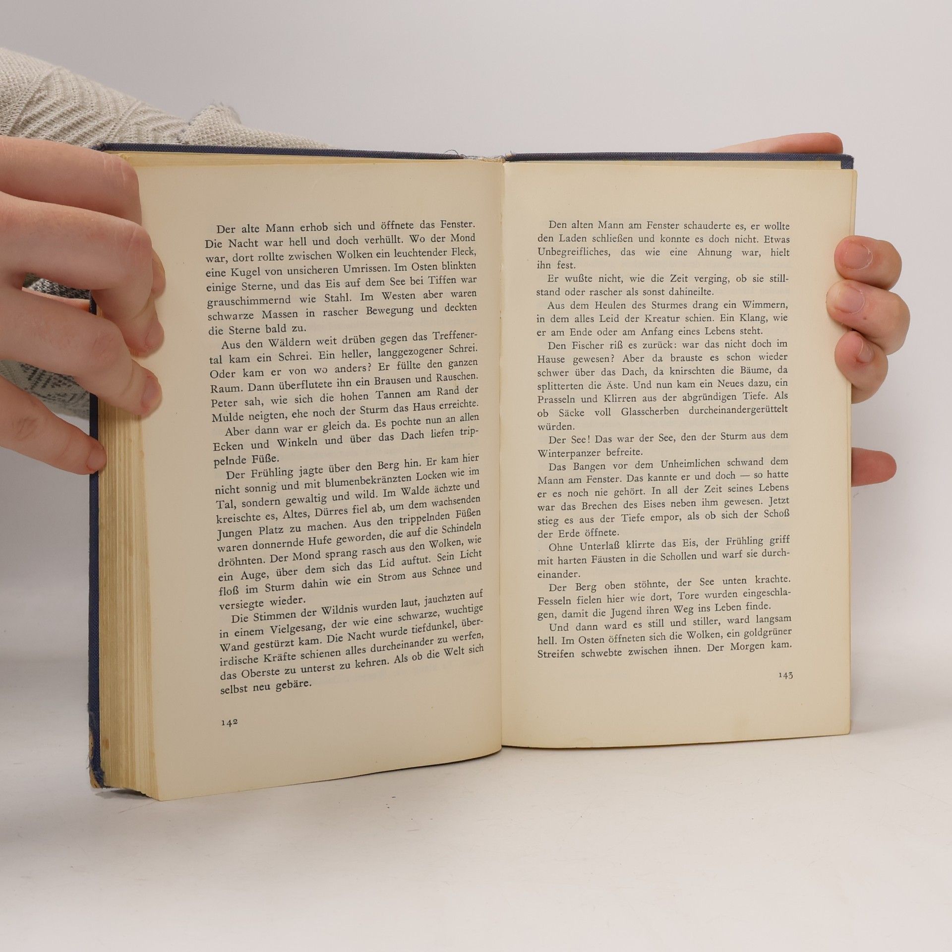 Gustav Renker Der Mönch von Ossiach