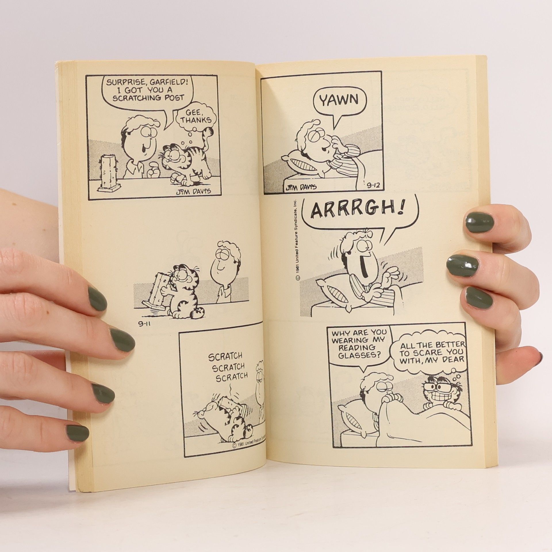 Jim Davis Garfield the Great Lover