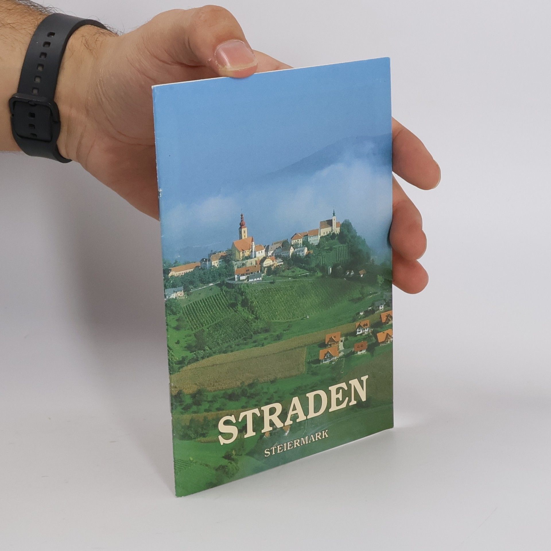 Gottfried Allmer Straden