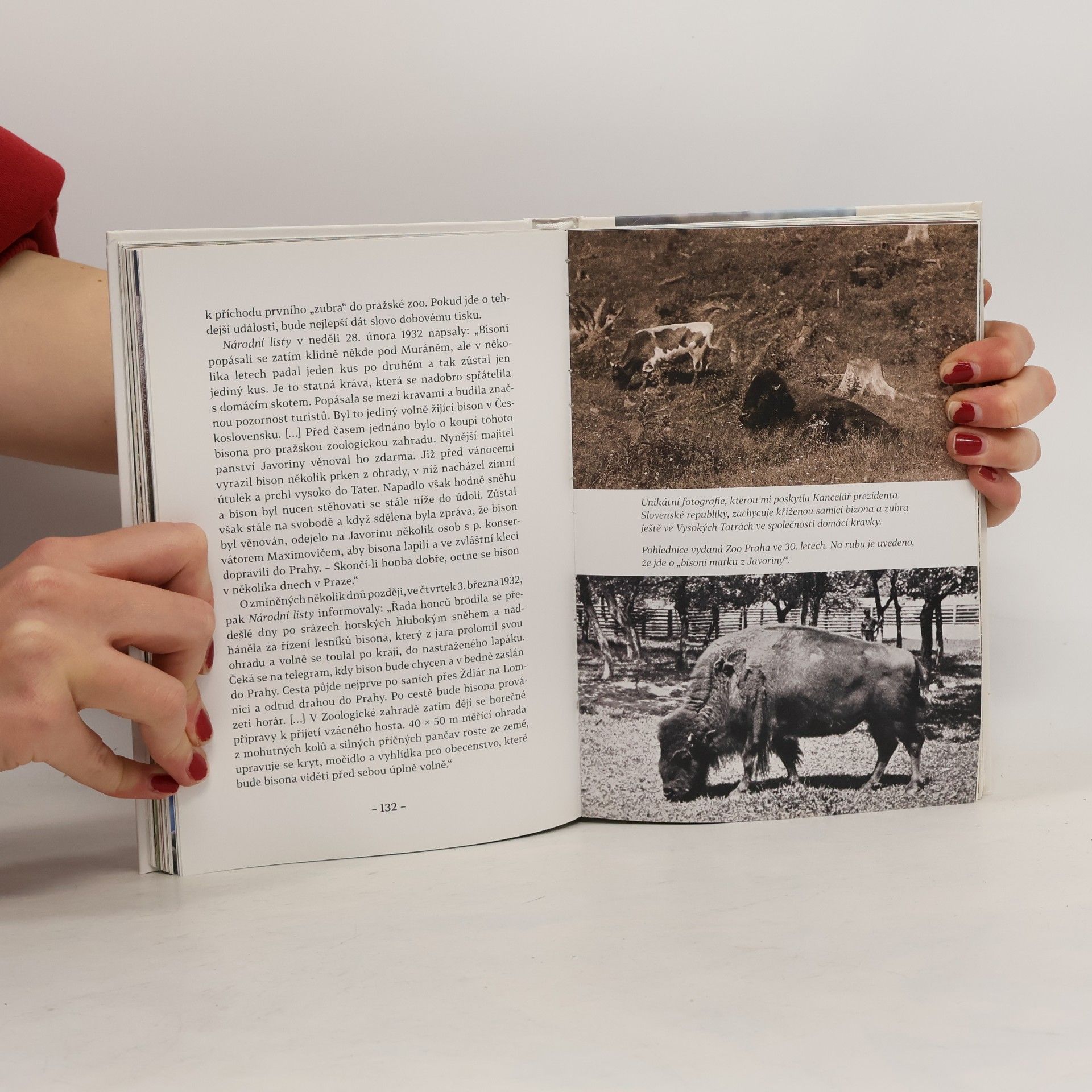 Miroslav Bobek Supi v hotelu Continental: A další zápisky ředitele zoo
