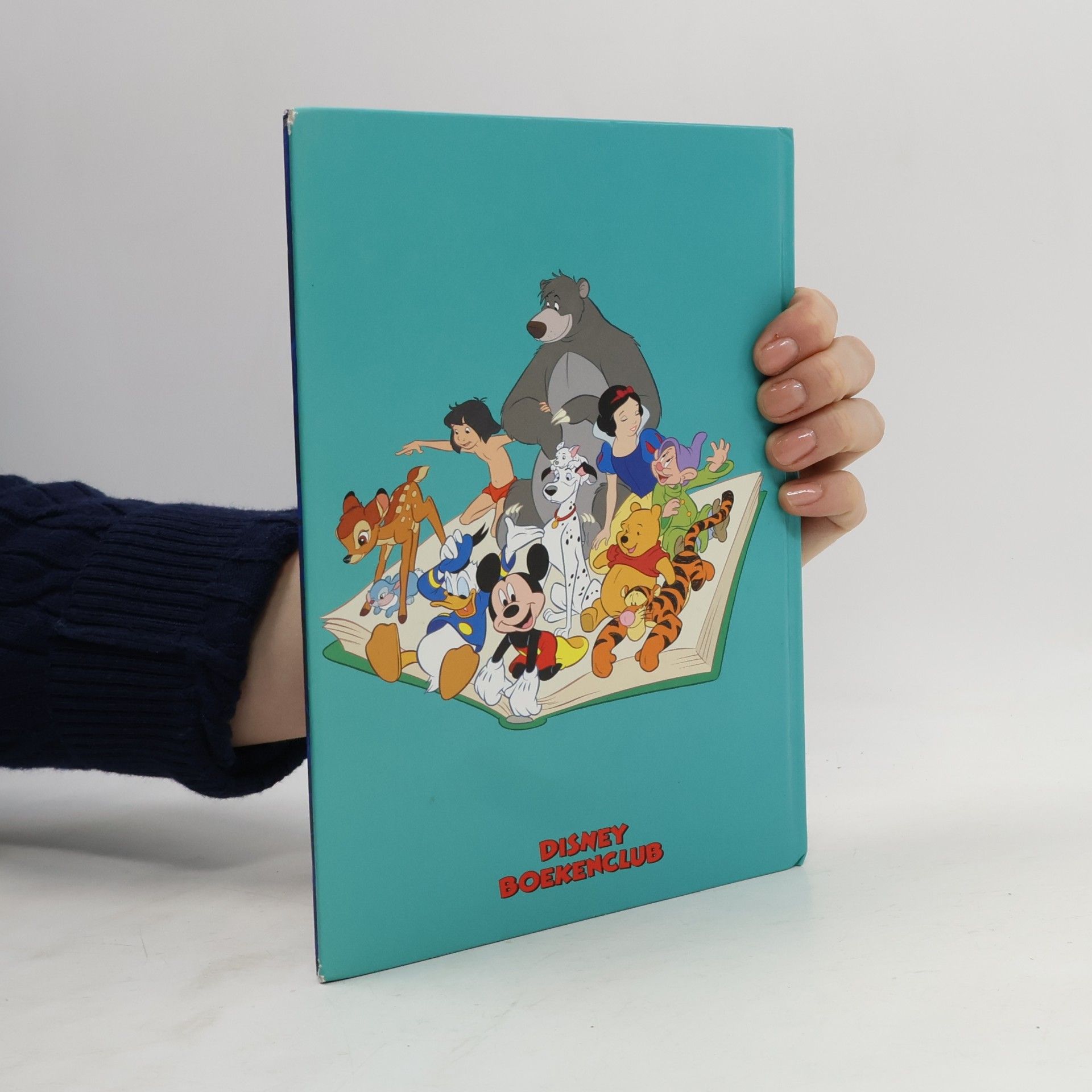 Walt Disney Disney Boekenclub: De Kleine Zeemeermin