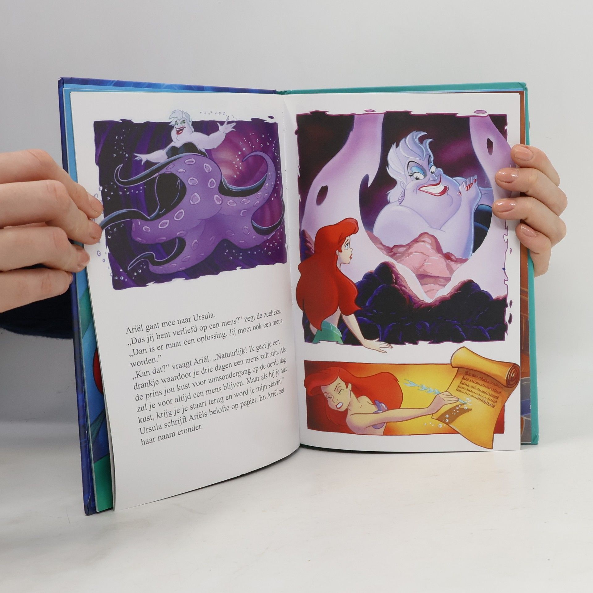 Walt Disney Disney Boekenclub: De Kleine Zeemeermin