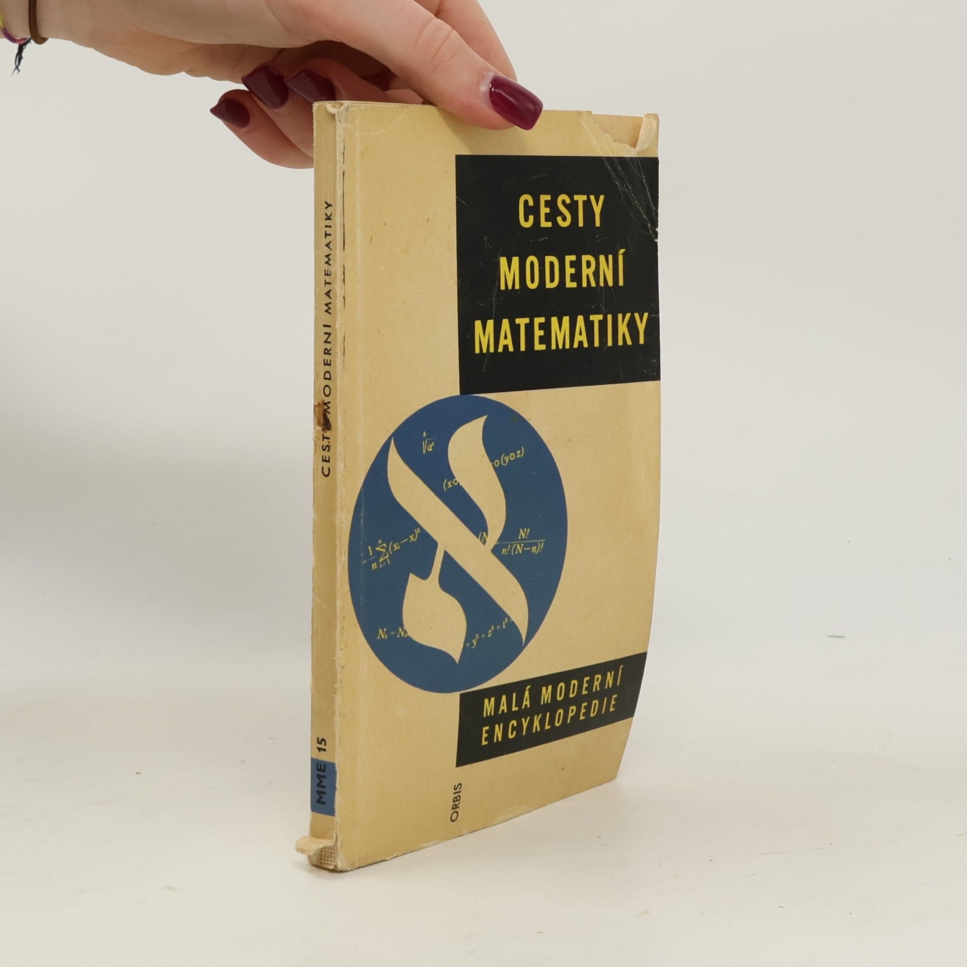 Cesty moderní matematiky