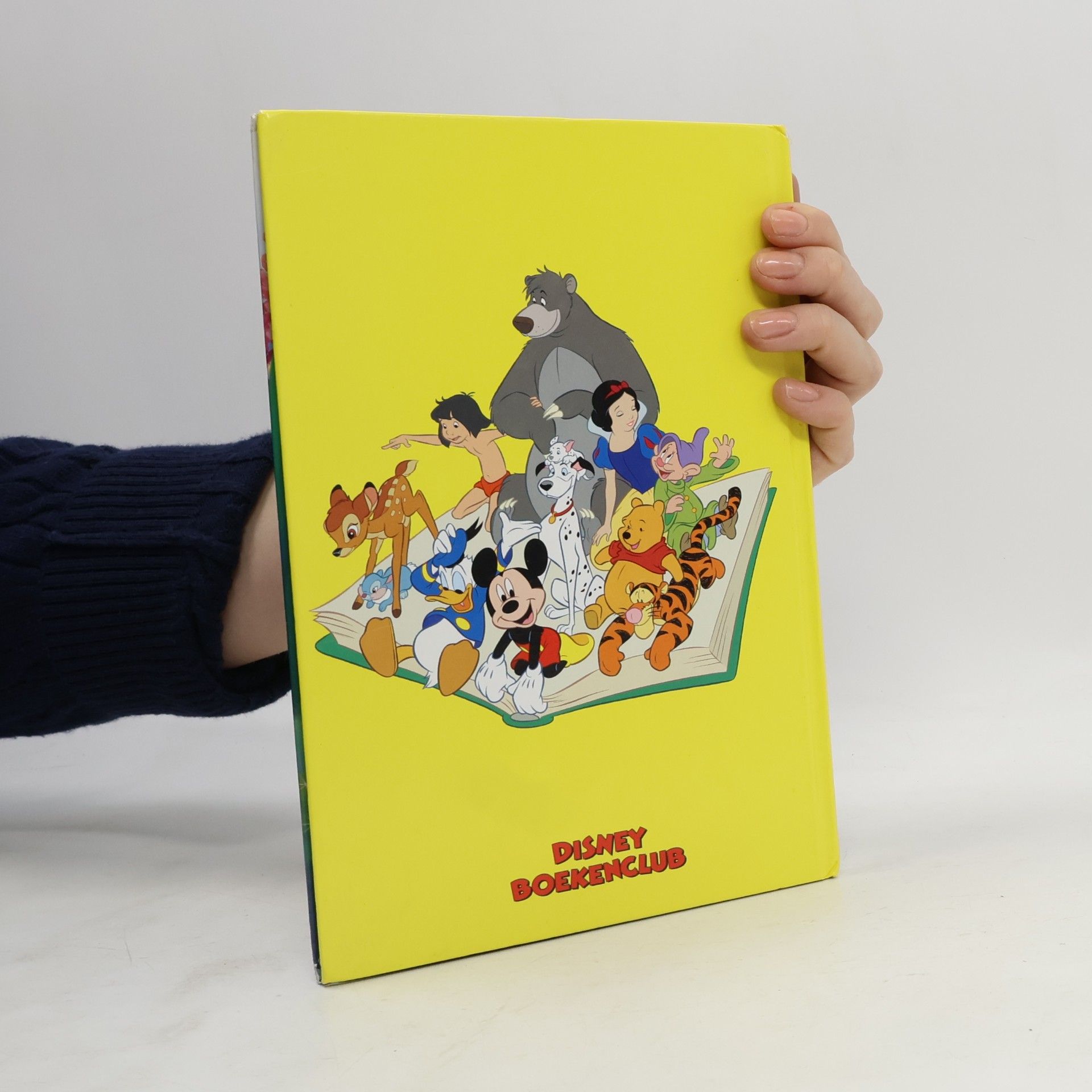 Disney Boekenclub: Het elfje dat niet kon vliegen (+ CD)