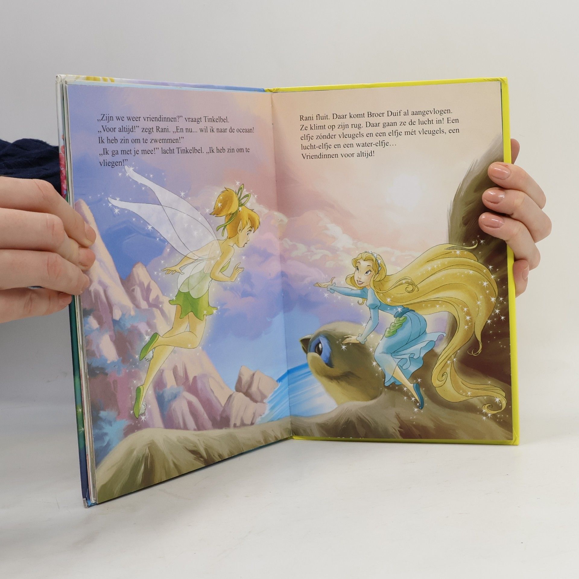 Disney Boekenclub: Het elfje dat niet kon vliegen (+ CD)