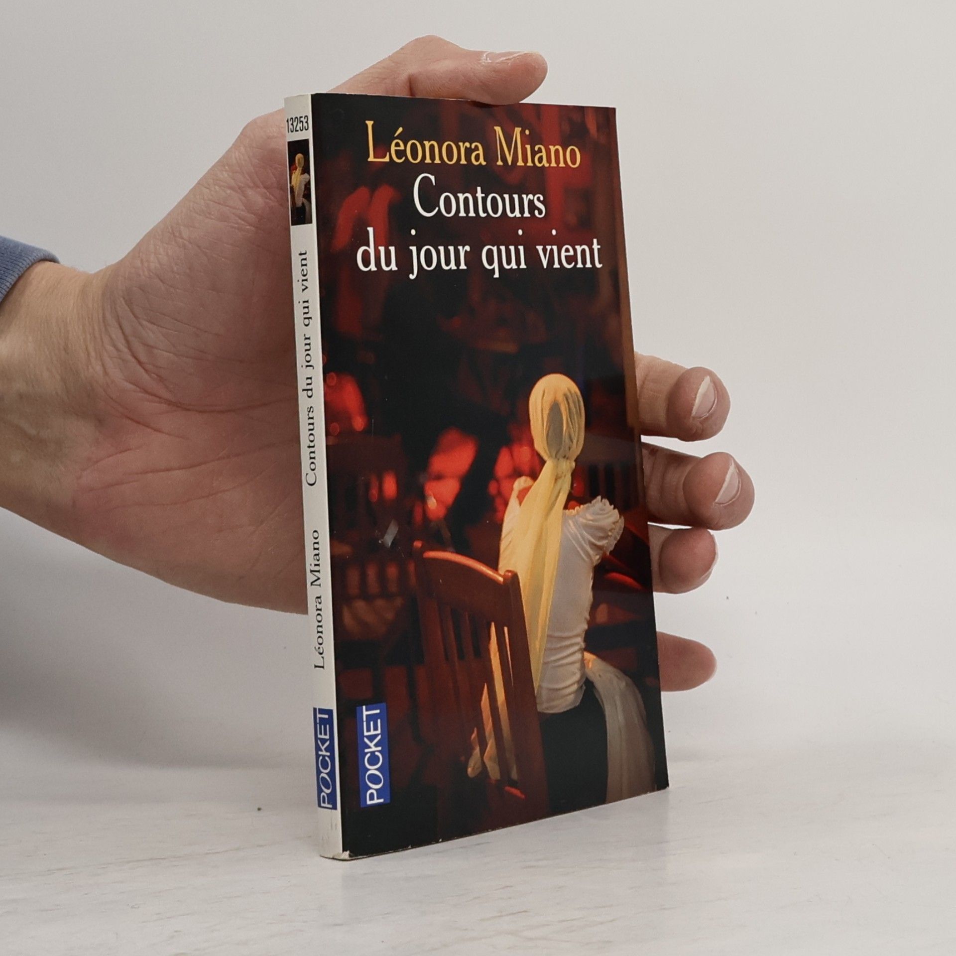 Léonora Miano Contours du jour qui vient