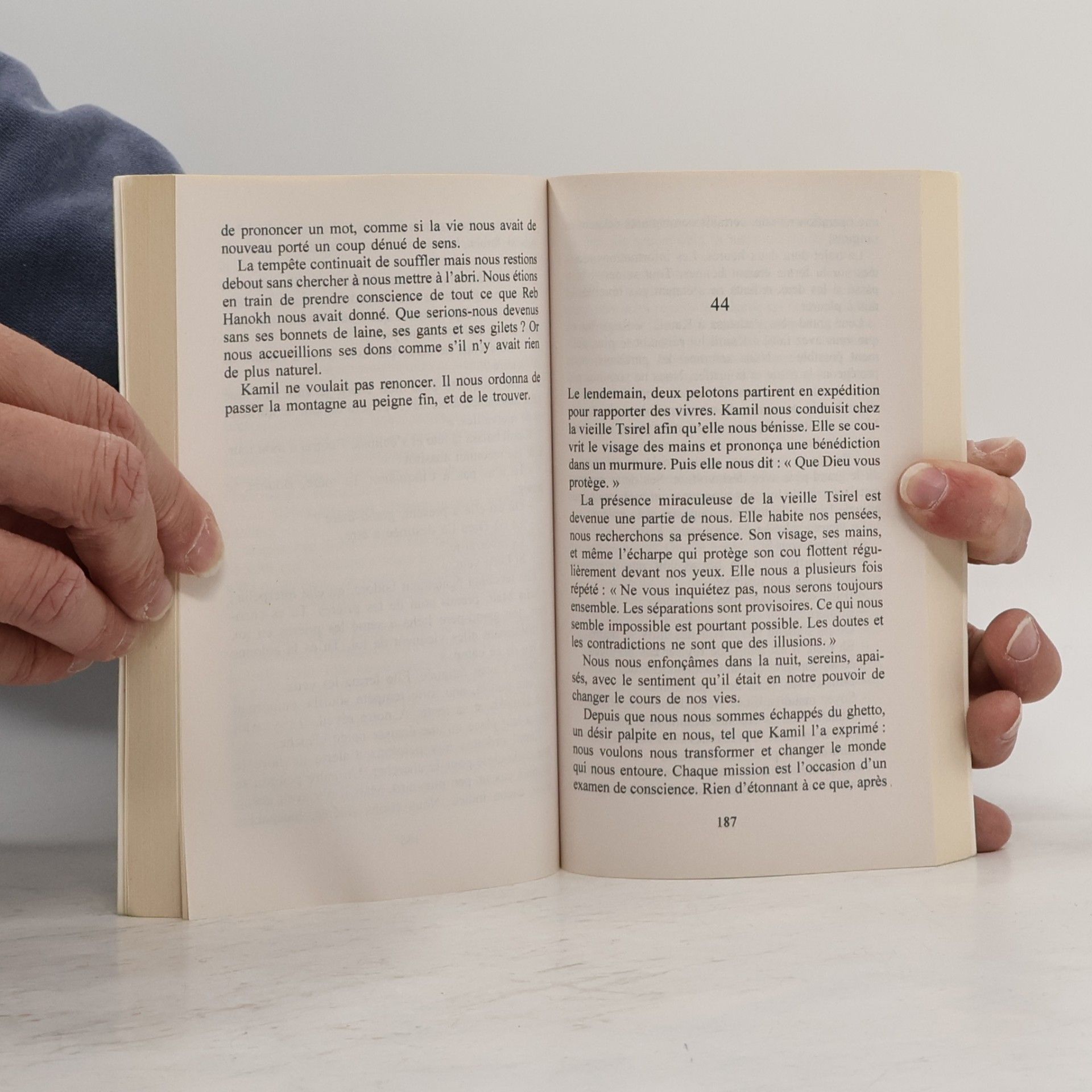Aharon Appelfeld Les partisans