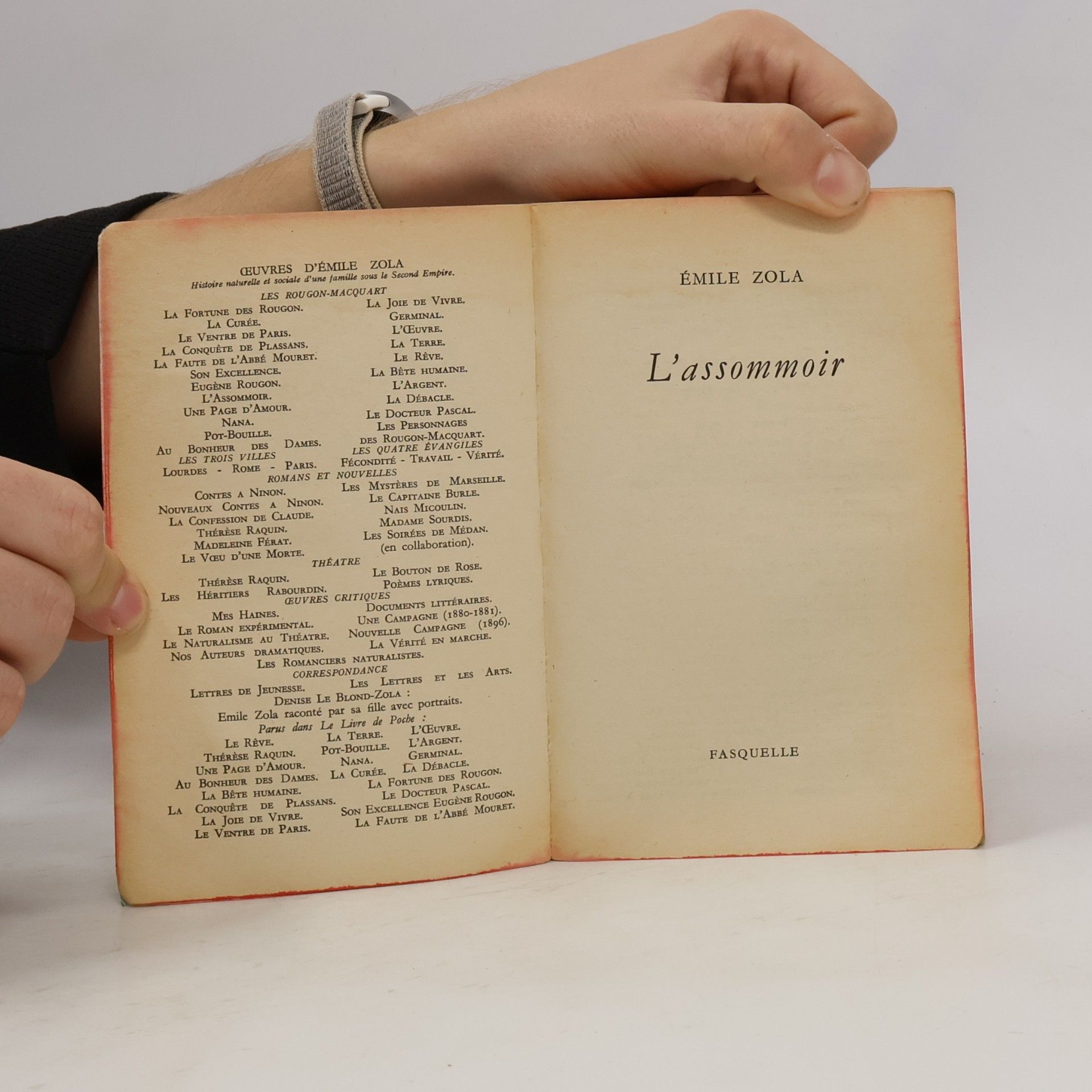 Émile Zola L'assommoir