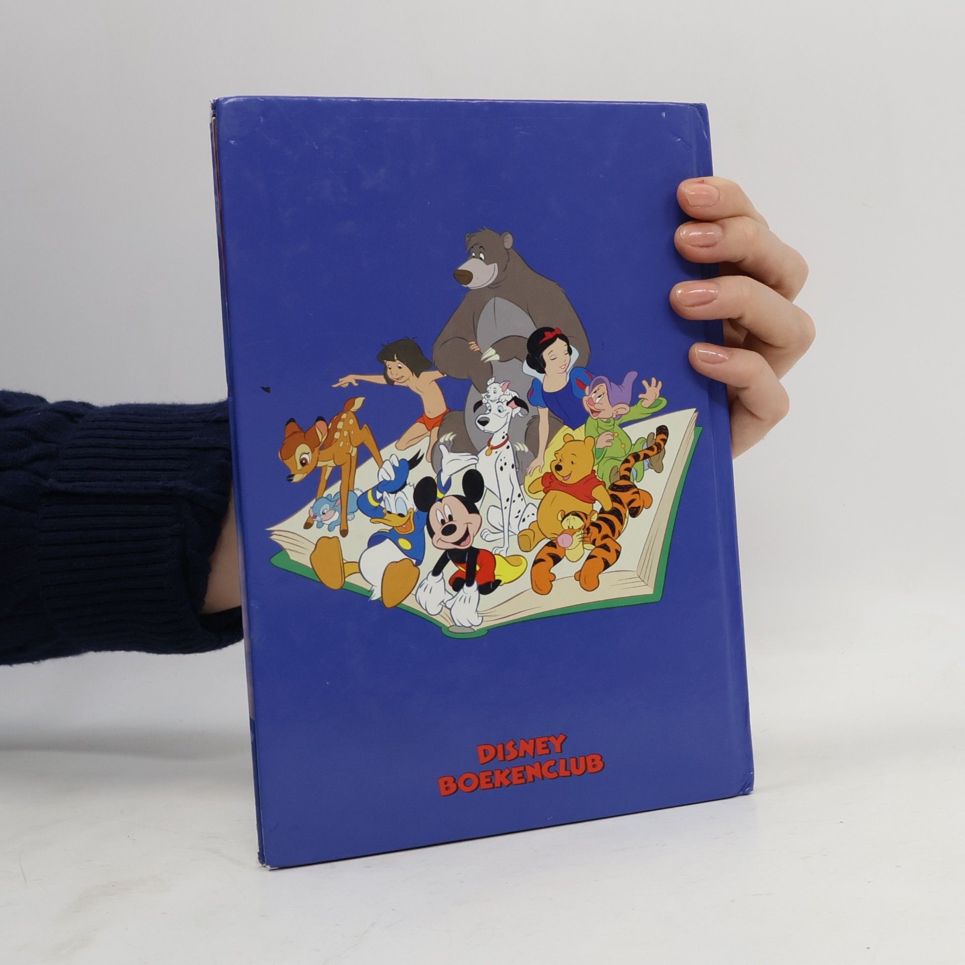Walt Disney Company Disney Club: Assepoester (+ CD)
