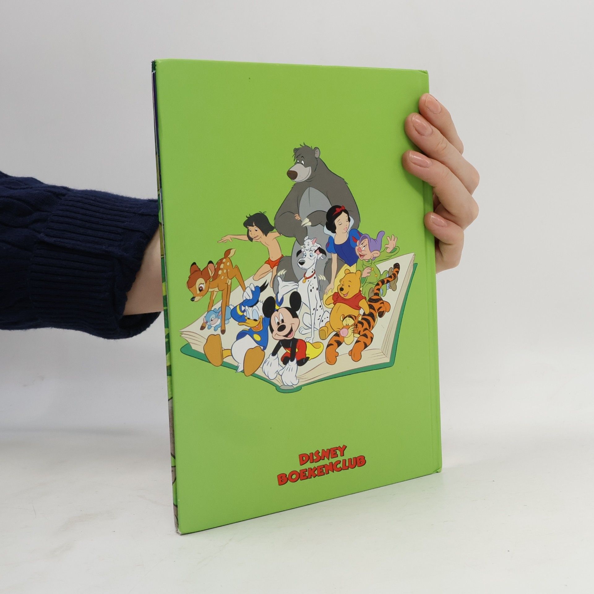 Disney Boekenclub: In het wild (+ CD)