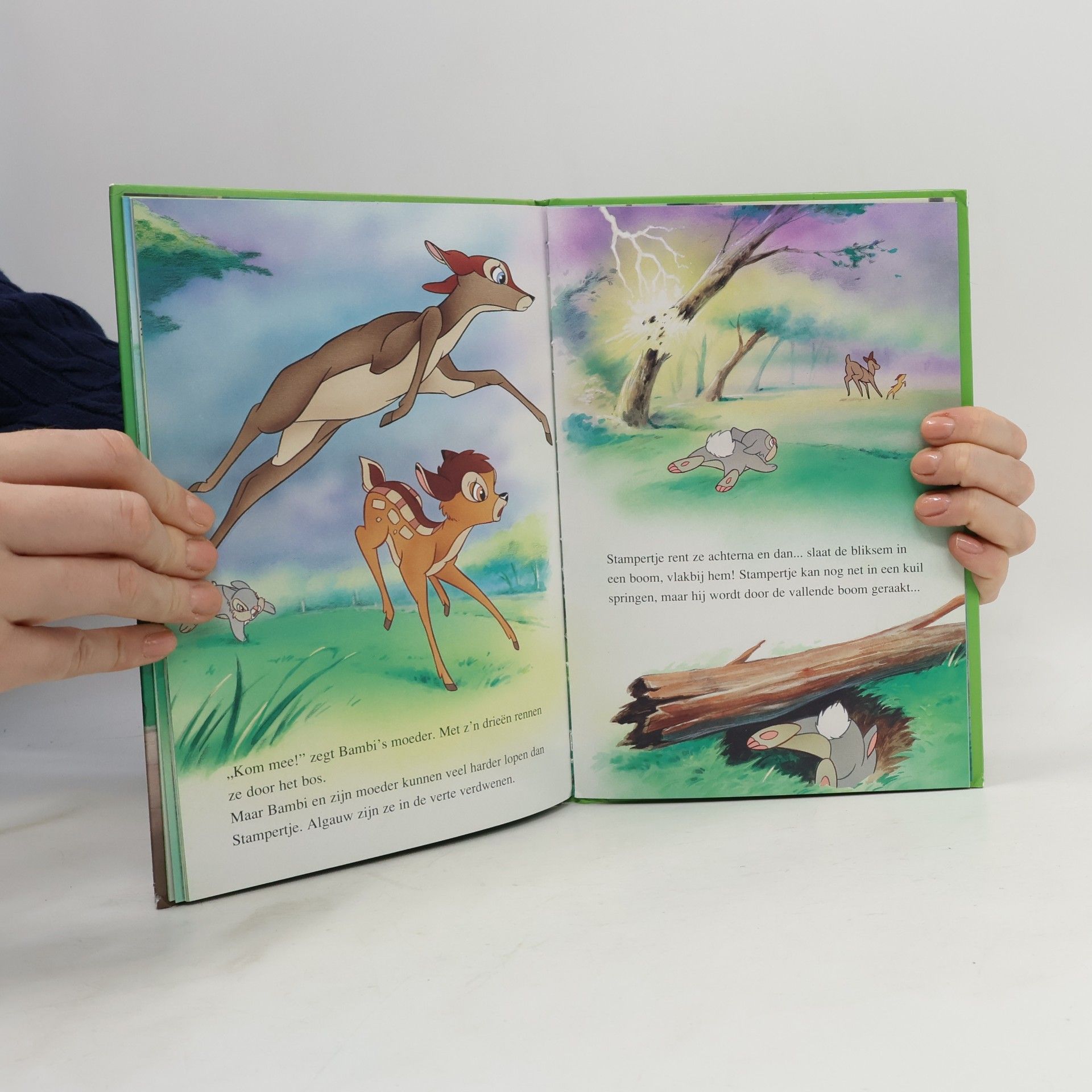 Walt Disney Disney Boekenclub: Stampertje in gevaar