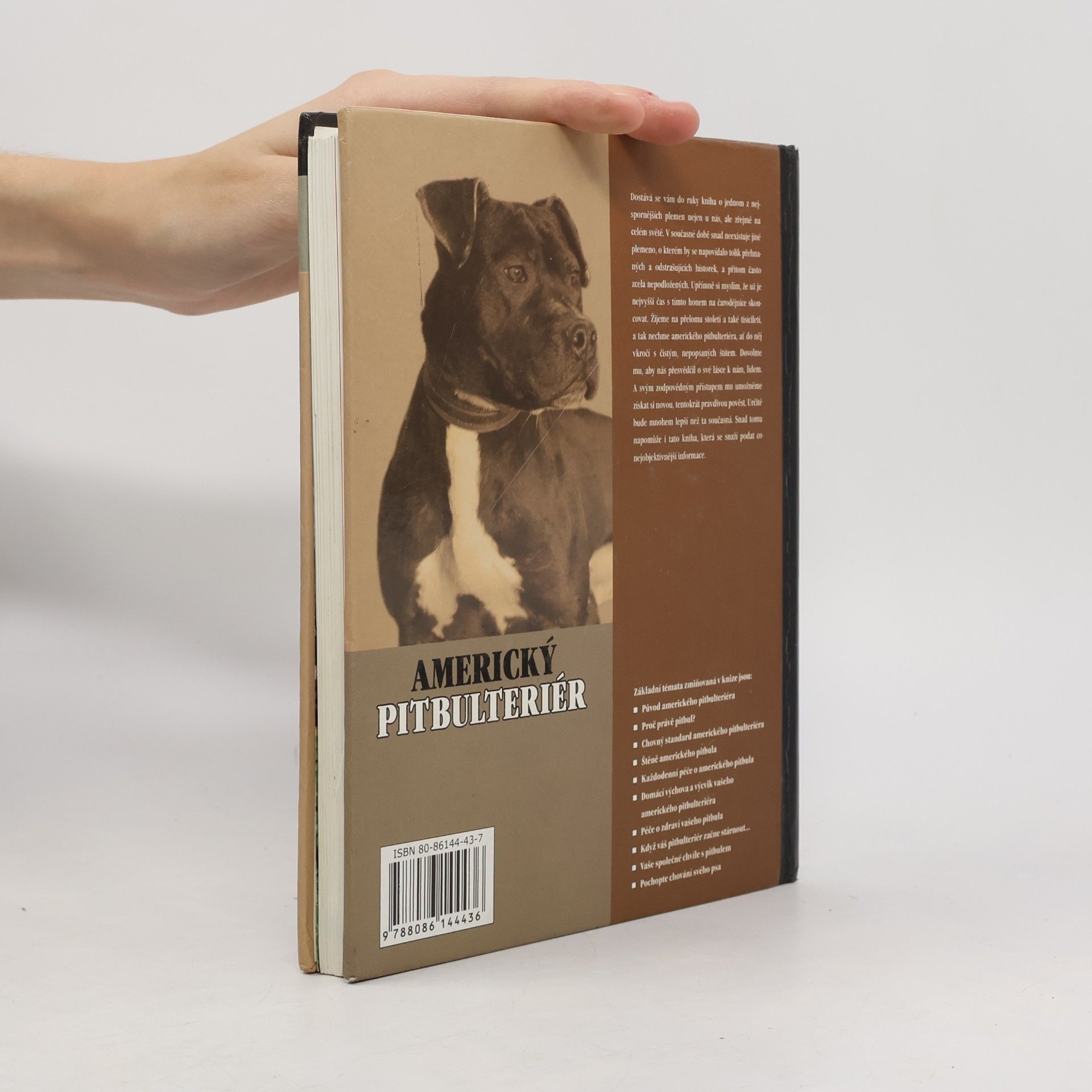 F. Favorito Americký pitbulteriér