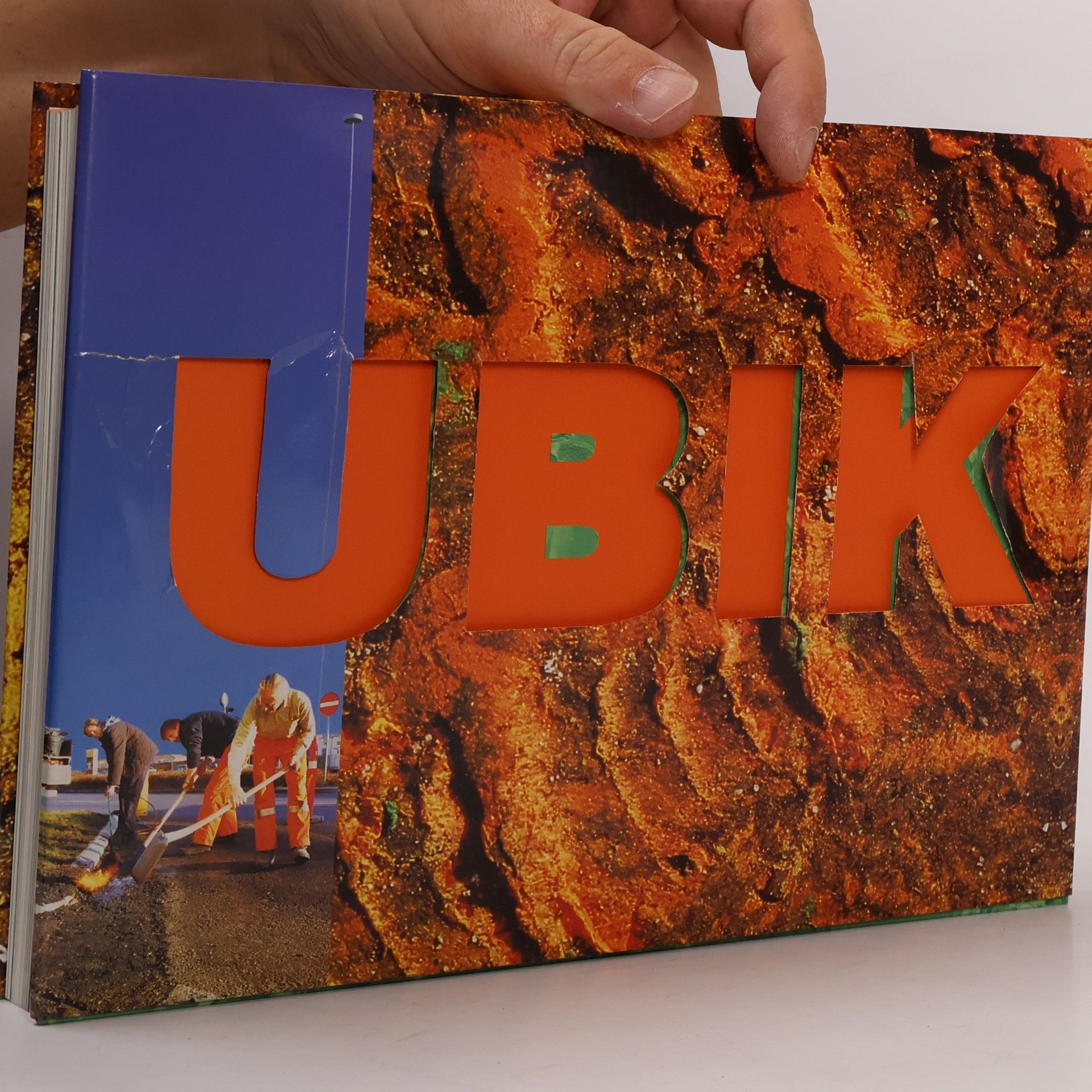 Kolektiv autorů Leni Hoffmann, Ubik