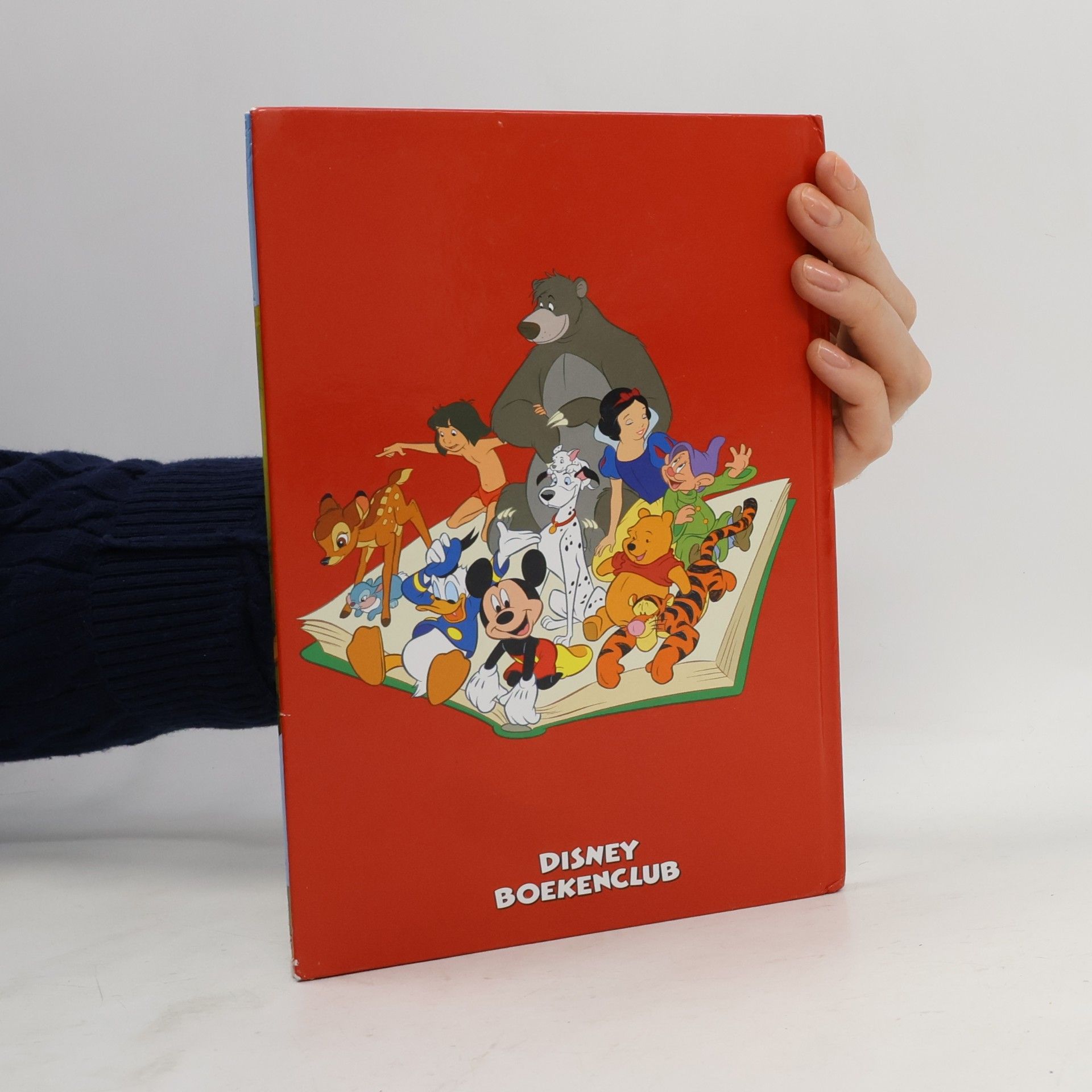 Walt Disney Company Donald als Postbode