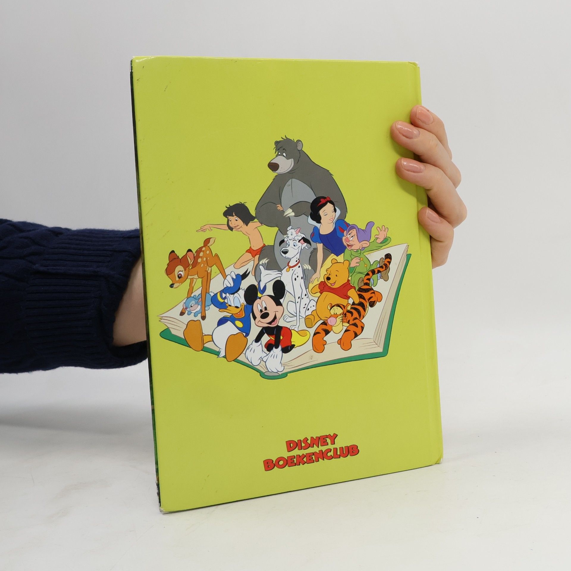 Walt Disney Company Disney Club: Bambi en de Grote Prins van het Woud (+ CD)