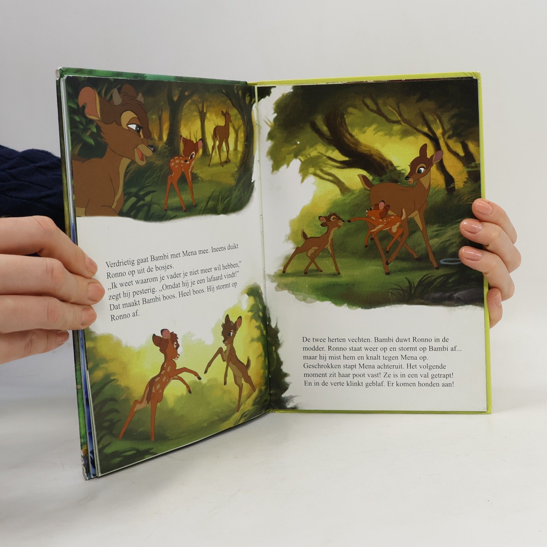 Walt Disney Company Disney Club: Bambi en de Grote Prins van het Woud (+ CD)