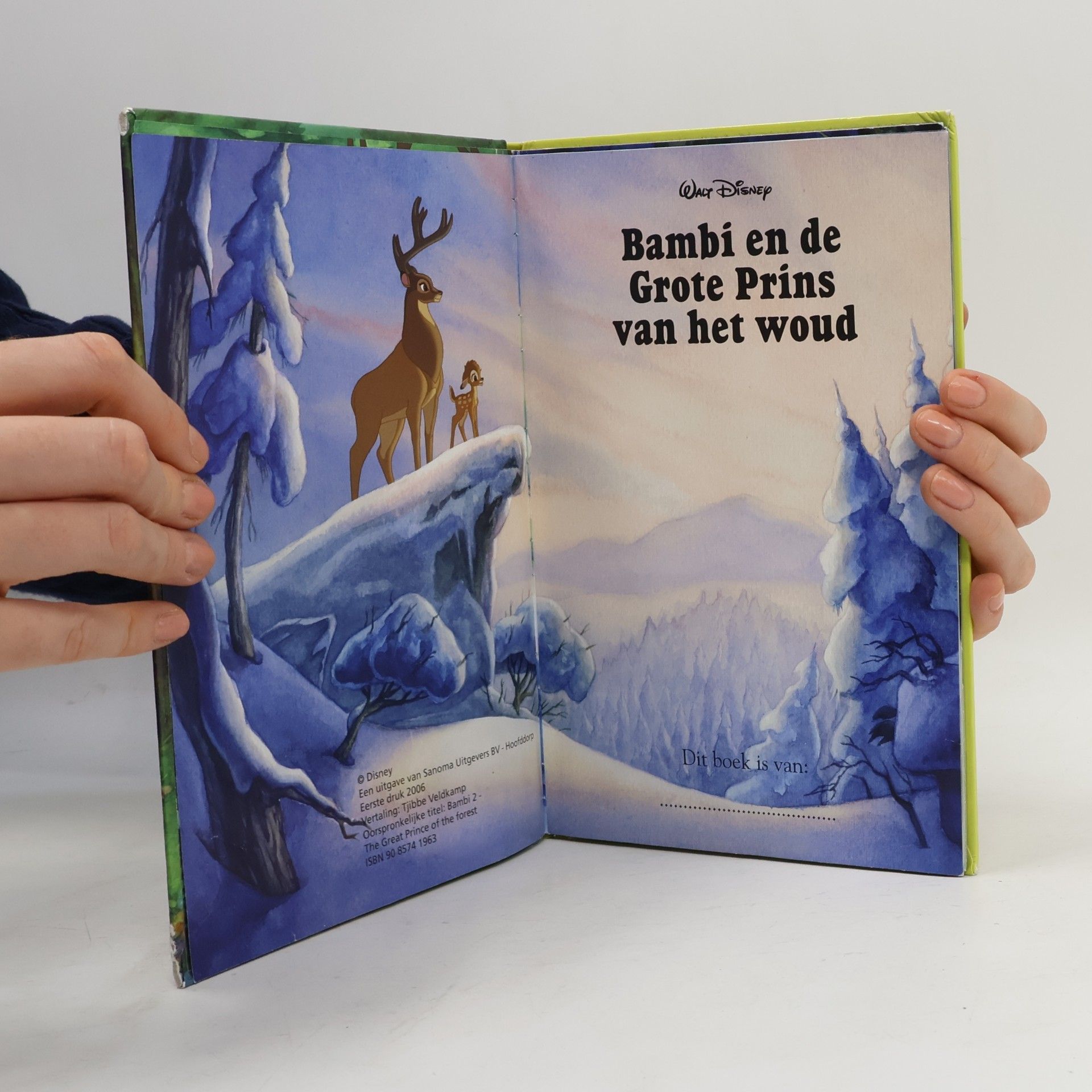 Walt Disney Company Disney Club: Bambi en de Grote Prins van het Woud (+ CD)
