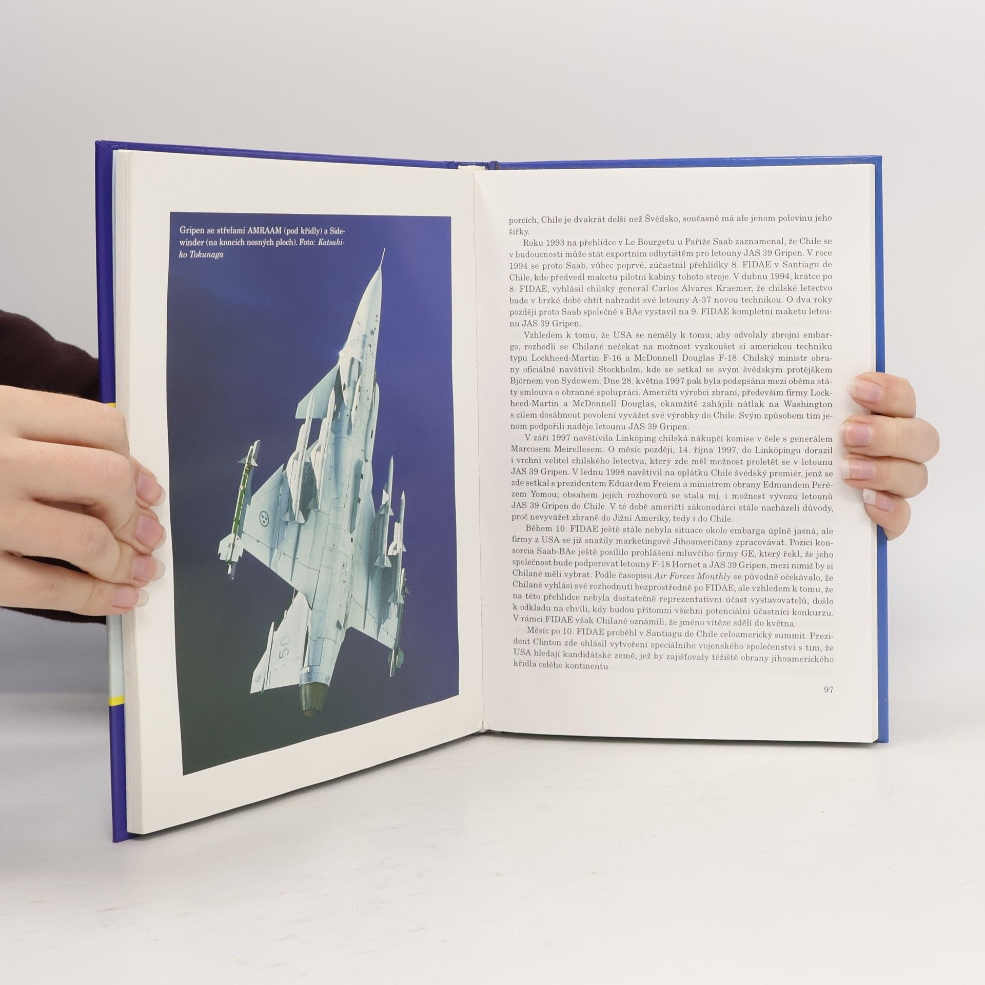 Jiří Chodil Saab JAS 39 Gripen. Bojový letoun pro třetí tisíciletí