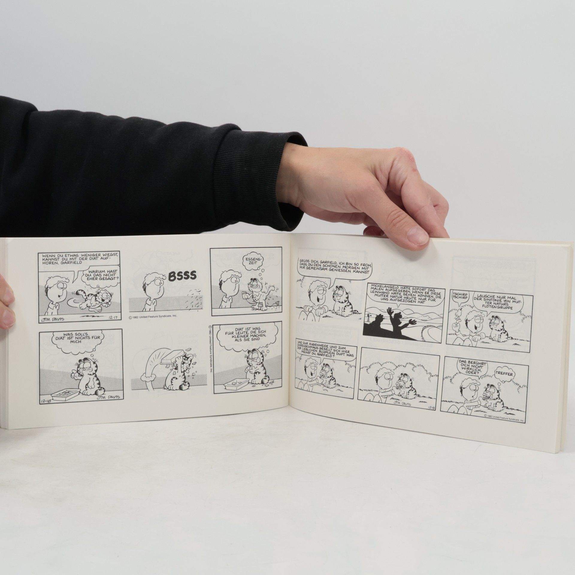Jim Davis Garfield hat's voll drauf. Sein achtes Buch