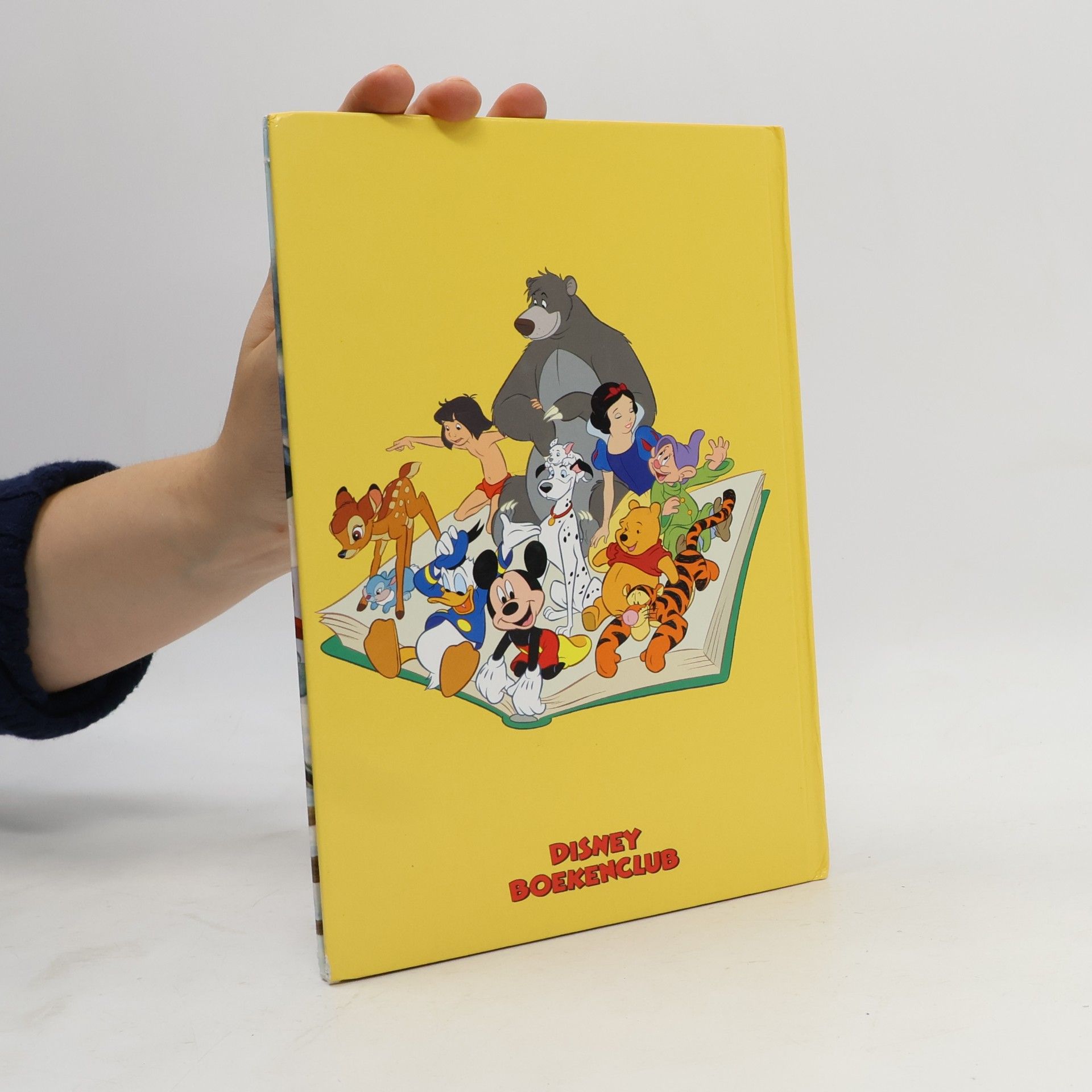 Walt Disney Disney Boekenclub: Dombo's avontuur in de sneeuw (+ CD)
