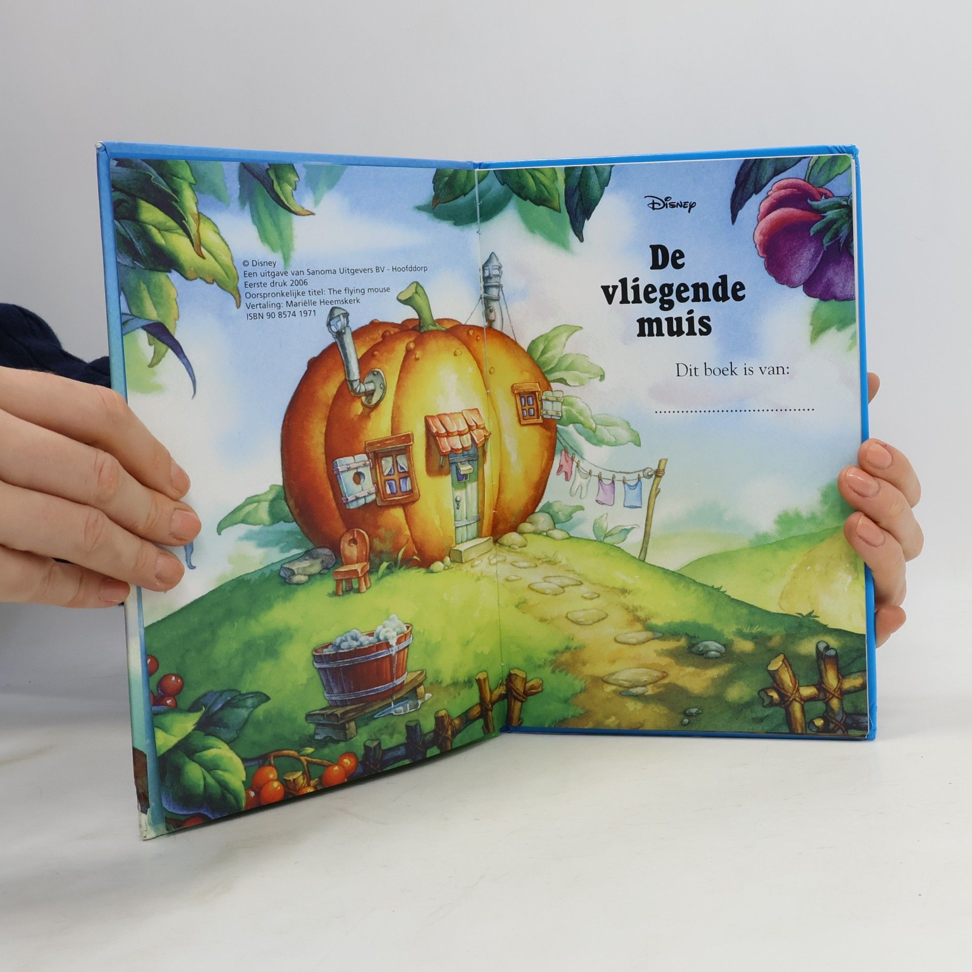 Sanoma Media Disney Boekenclub