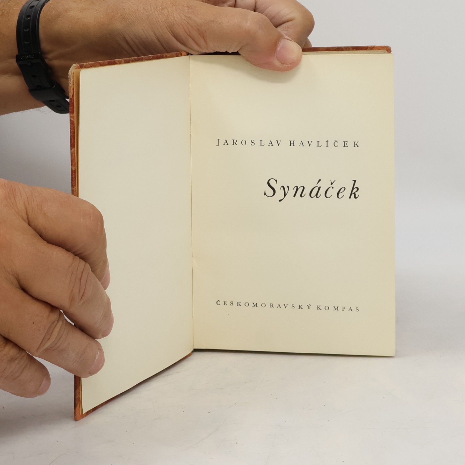 Jaroslav Havlíček Synáček