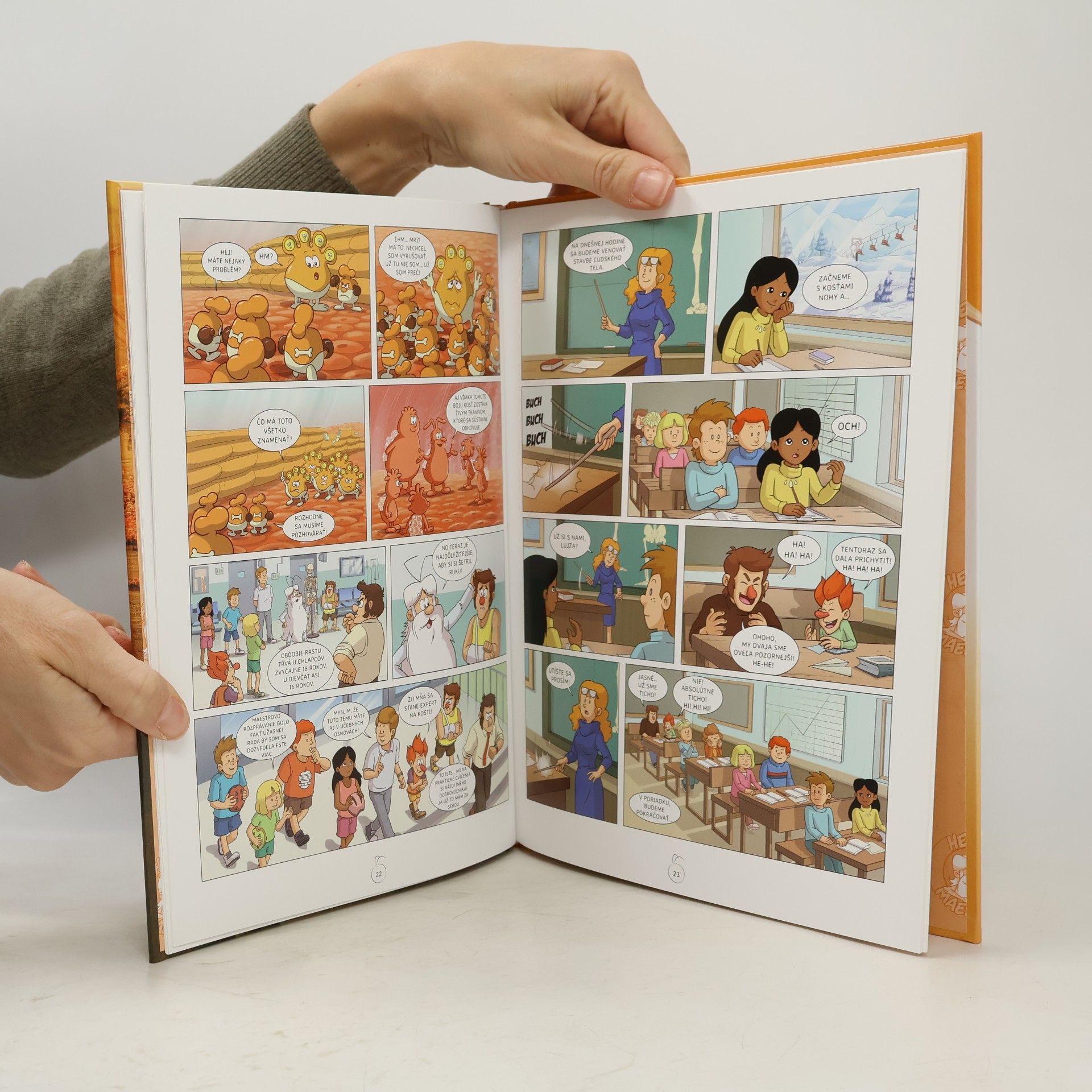 Autorenkollektiv Bol raz jeden život : Kosti a kostra