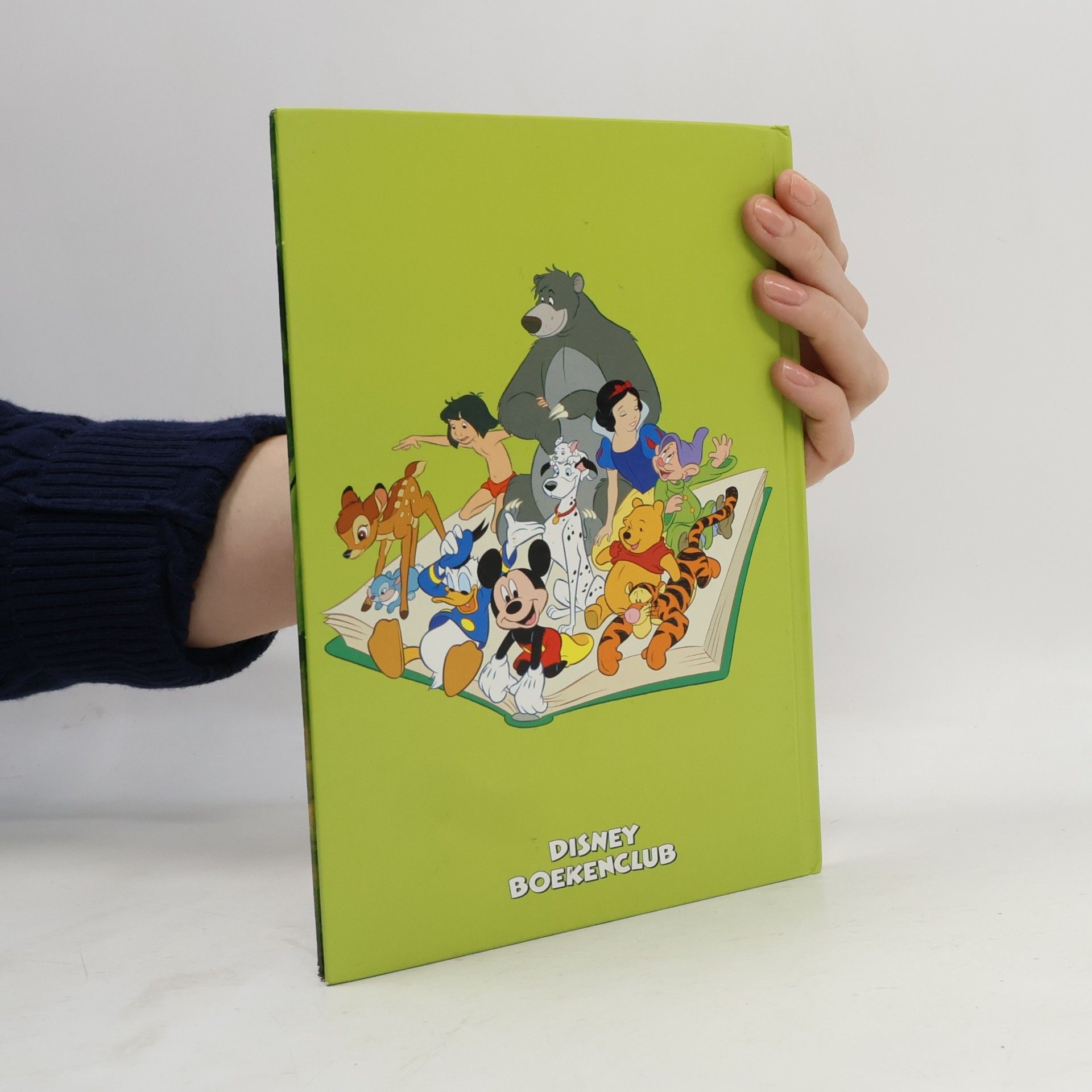 Walt Disney Company Disney Club: Goliath Junior